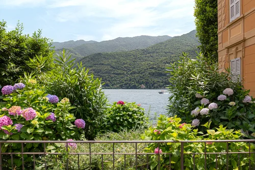 The house & lake