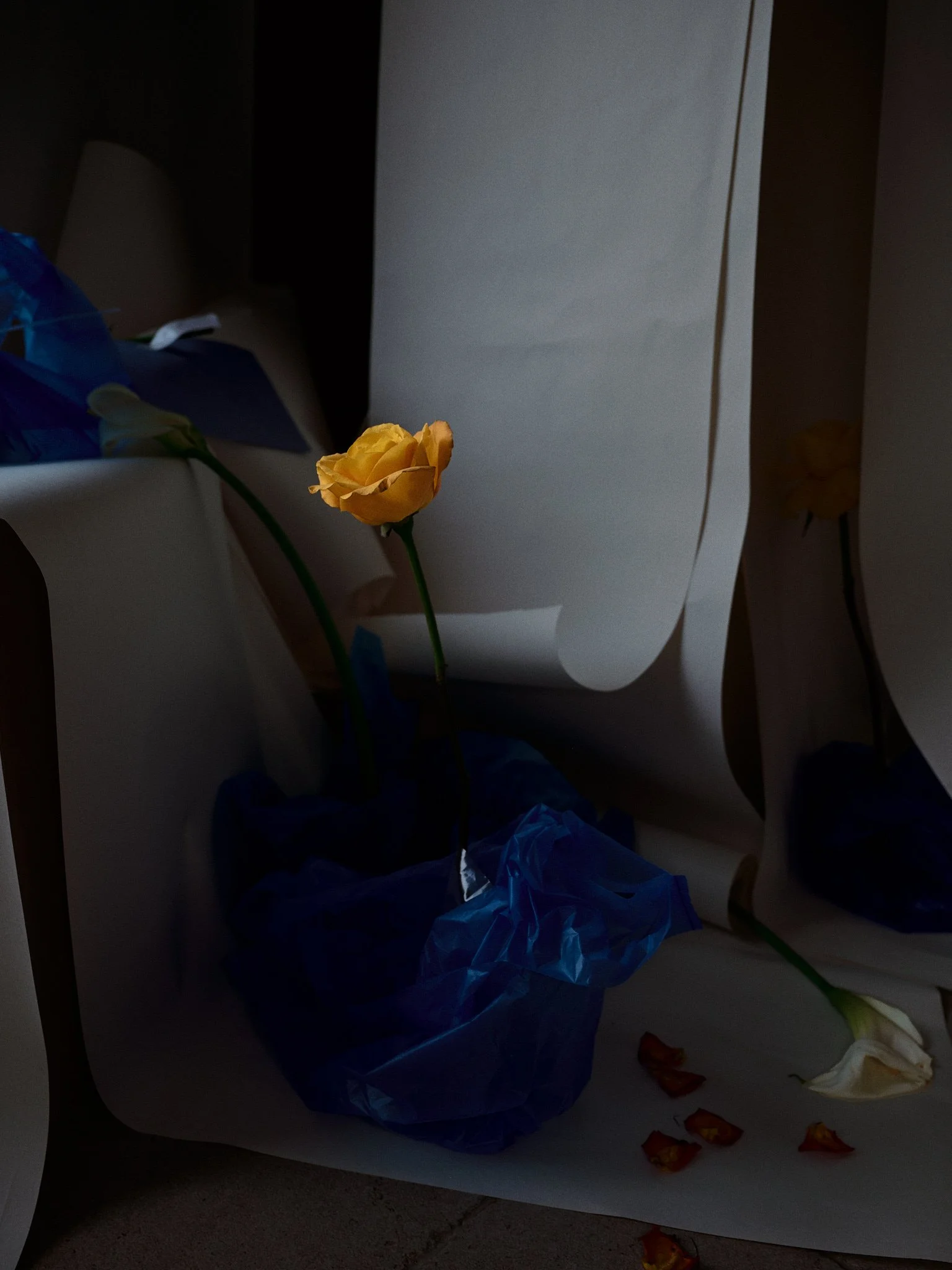 WYRD '26 Flower 1.jpg