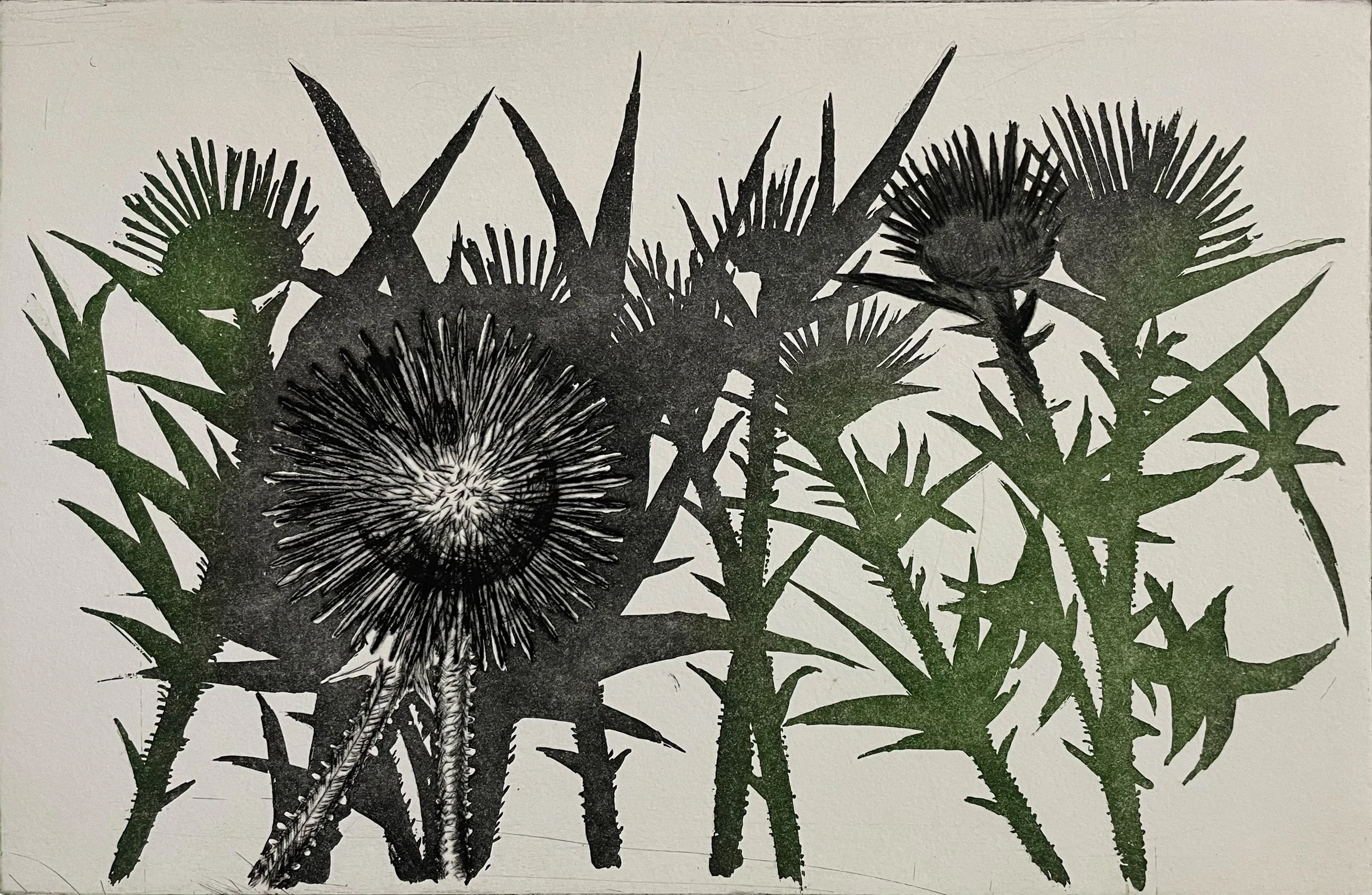 bea_IMG_5950 Kopie.jpg