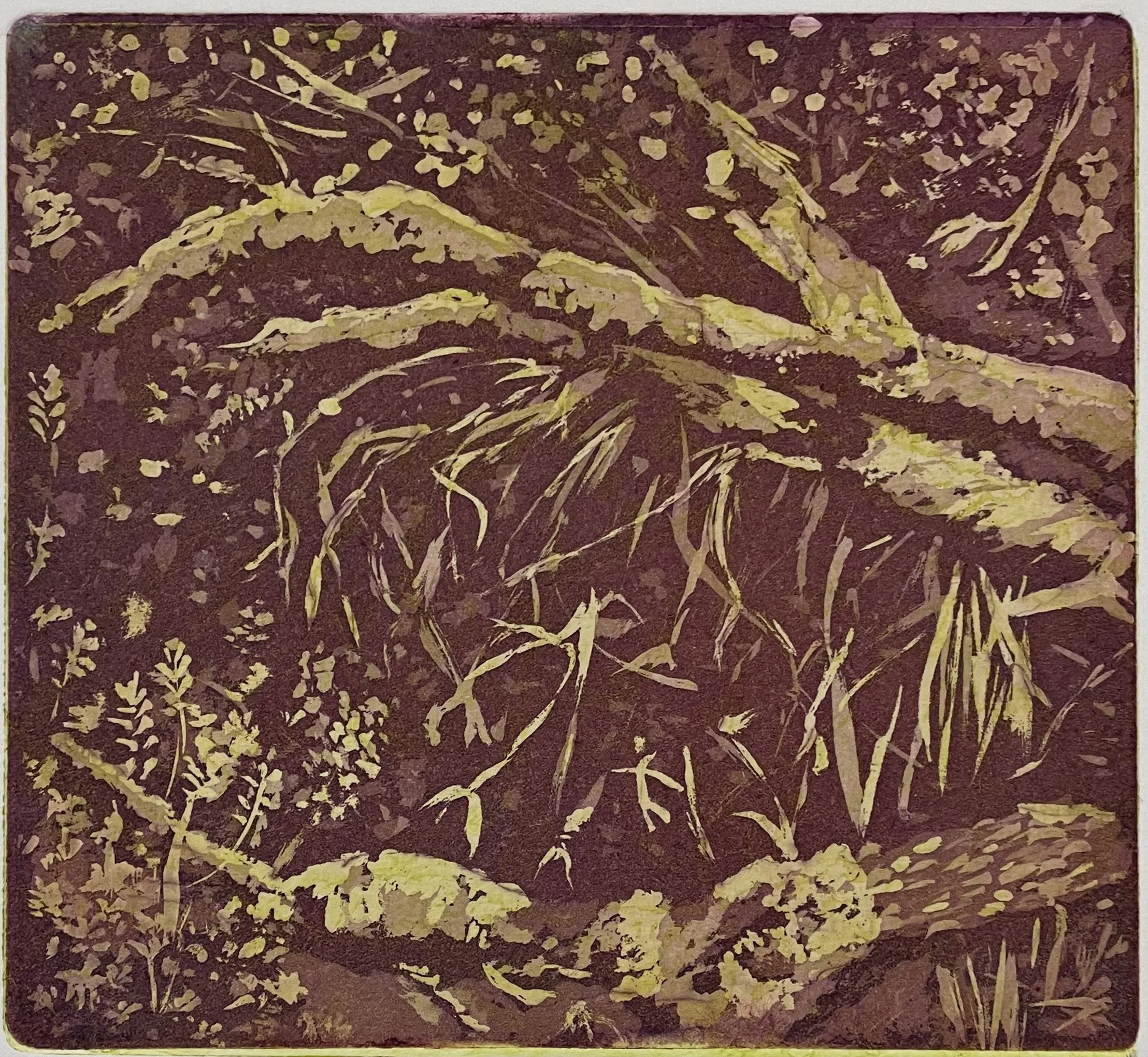 bea_IMG_5941 Kopie.jpg