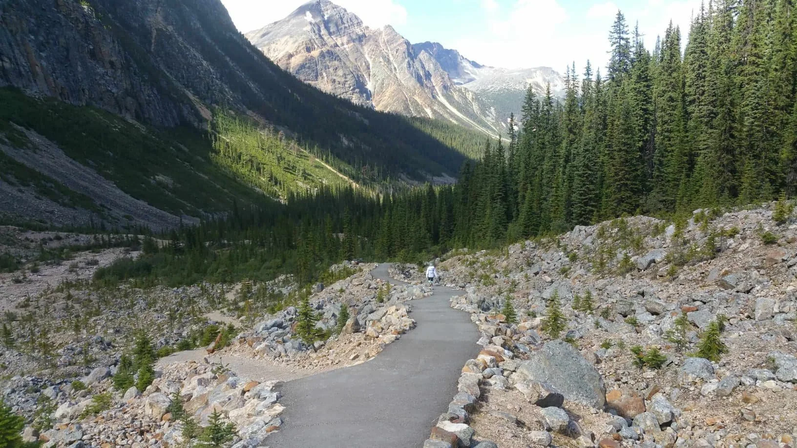 A hiker walking on a paved trail in a mountainous forested area with tall green trees and rugged mountains in the background.