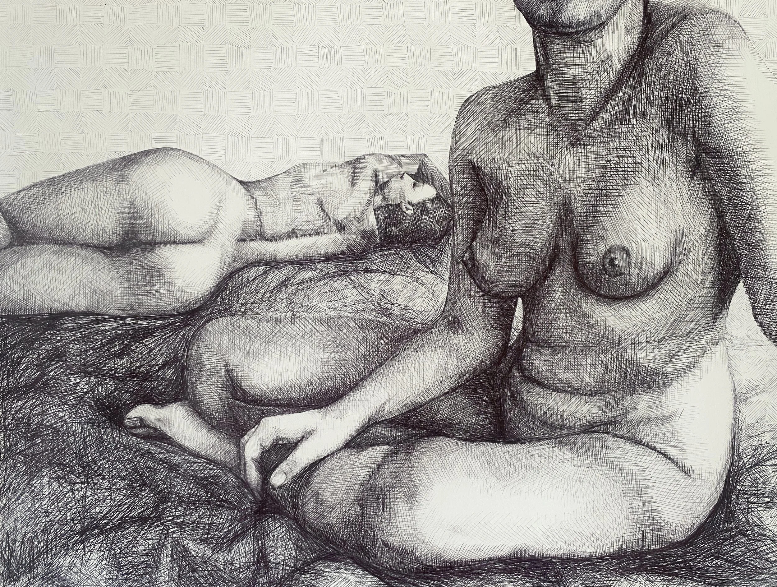 "talking to a wall"
ballpoint pen on paper
18" x 24"