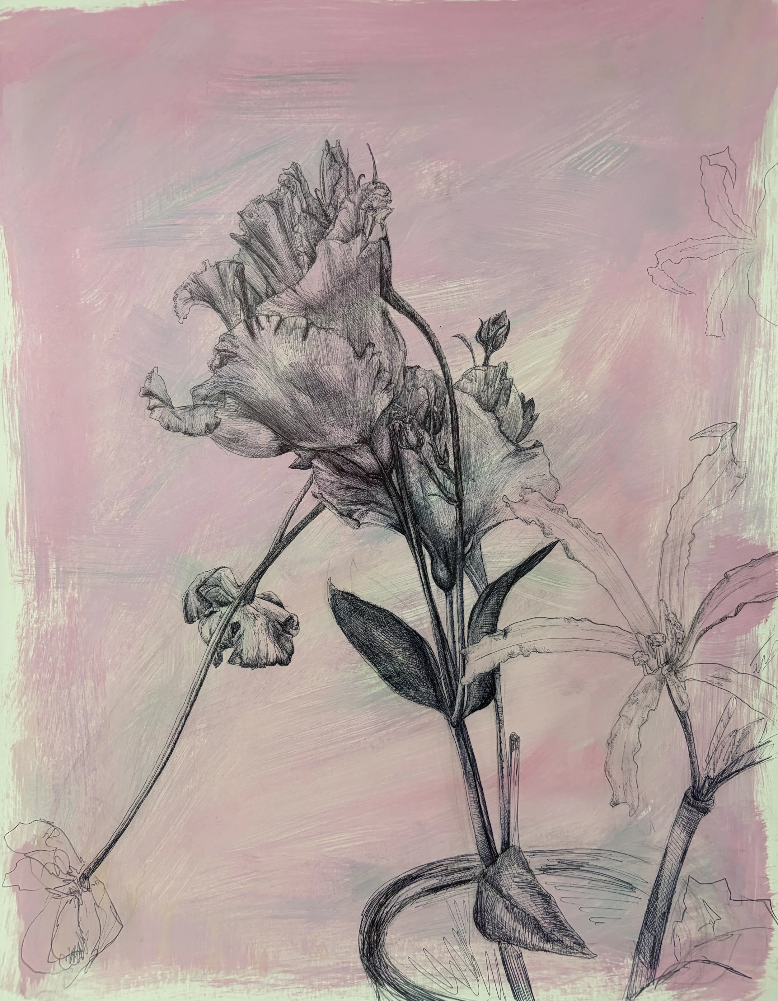 untitled flower drawing
ballpoint pen and acrylic paint on paper
14" x 18" 
2026