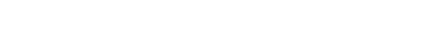 Steadfast Consulting Partners