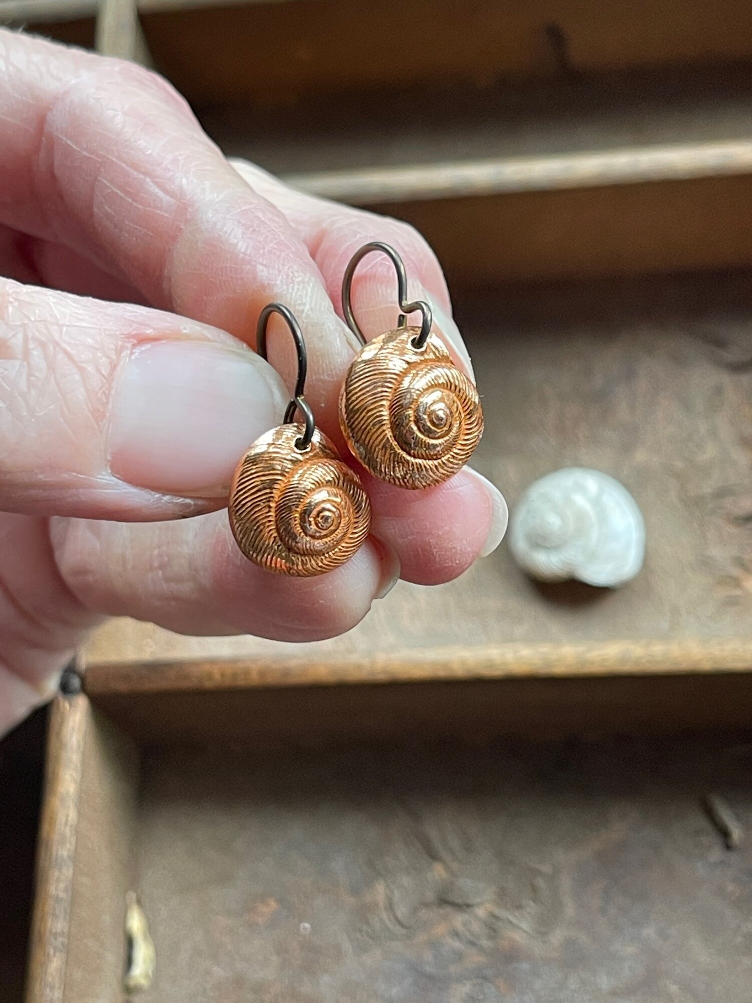 Copper Snail Shell Earrings (1).jpeg