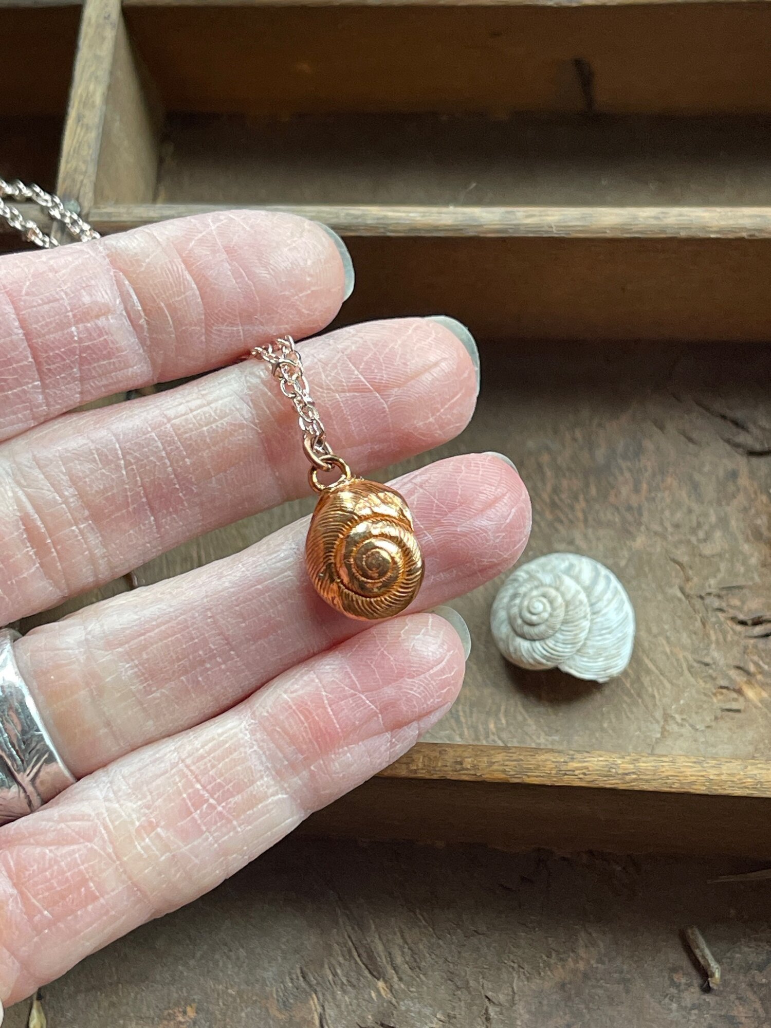 Copper Tiny Snail Shell Necklace 1.jpeg