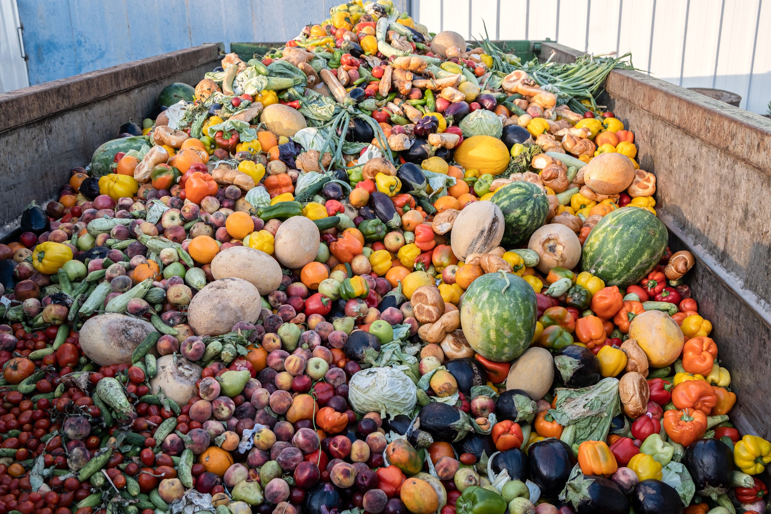 Inside the BioCycle Hub: a mobile engine for soil repair, circular jobs, and food sovereignty