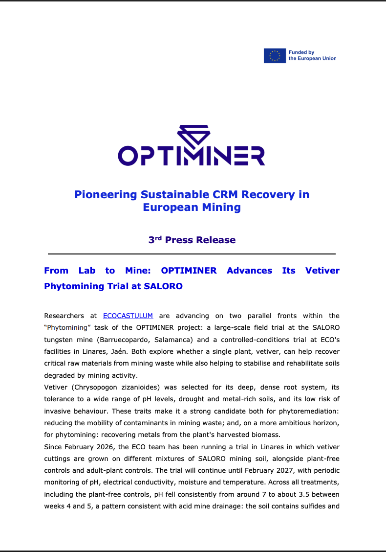 From Lab to Mine: OPTIMINER Advances Its Vetiver Phytomining Trial at SALORO
