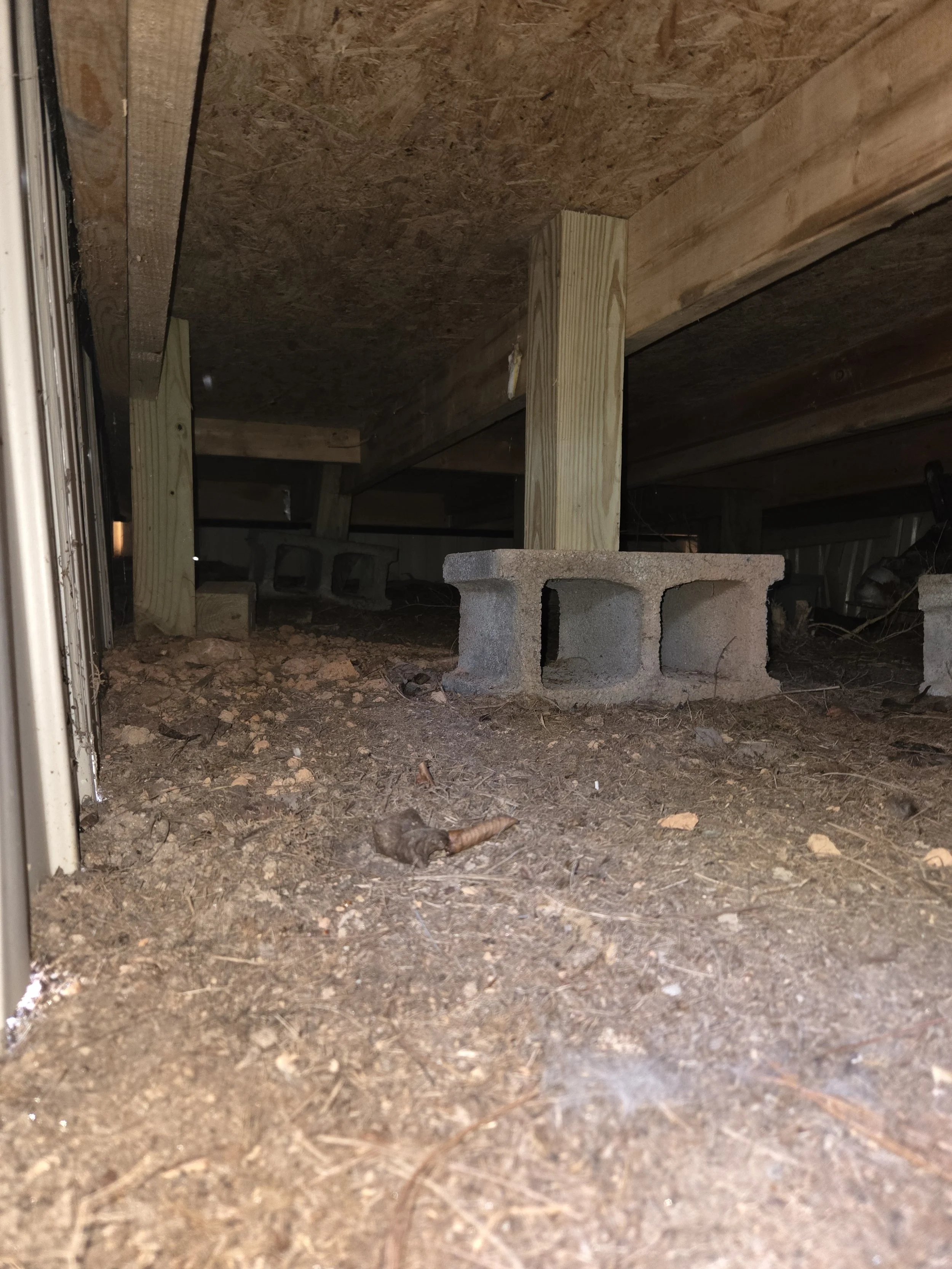 Foundation supports for an addition. The blocks are turned to their side and 4x4 posts extending to the floor joists. Blocks are meant to hold weight in 1 configuration and that is sitting up not to the side.