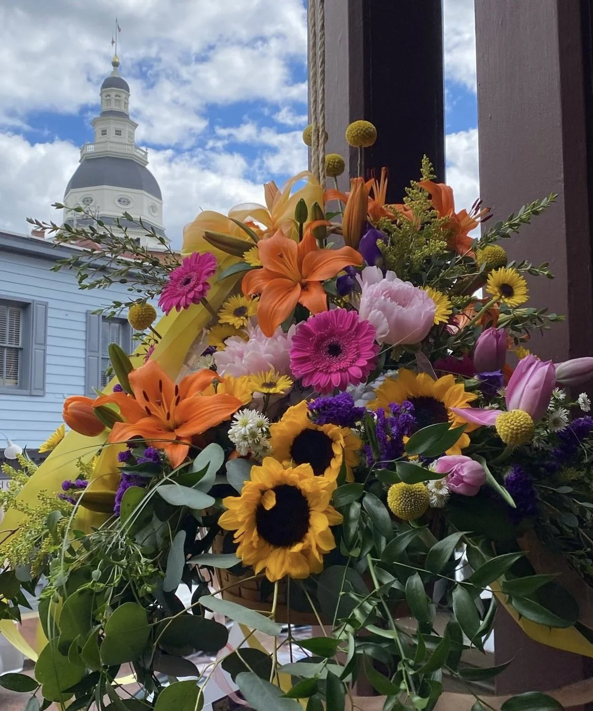 What We’re Looking Forward to this Spring in Annapolis!