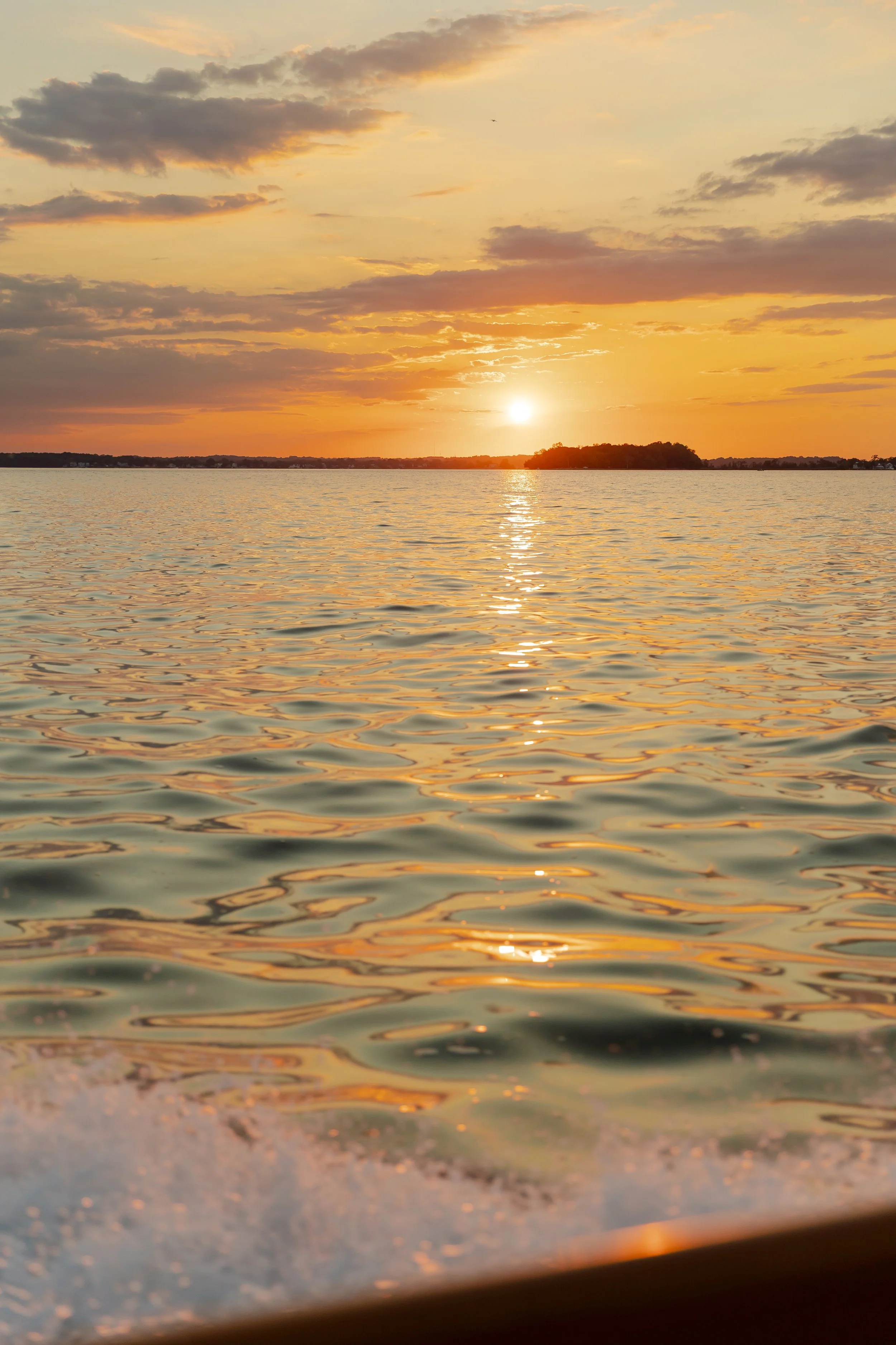 Stephanie Wyvill Photography