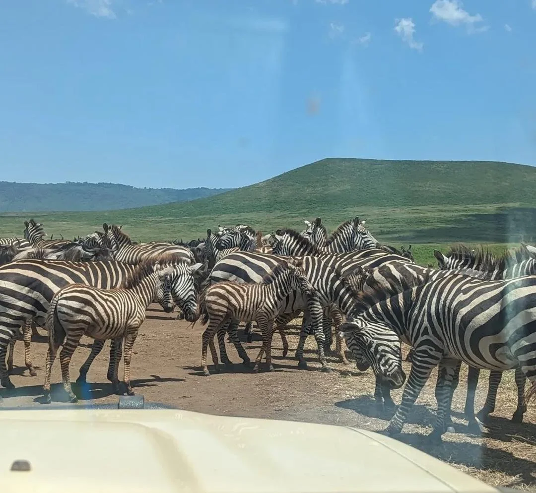 Photo from Mohammed Hassan (2).jpg