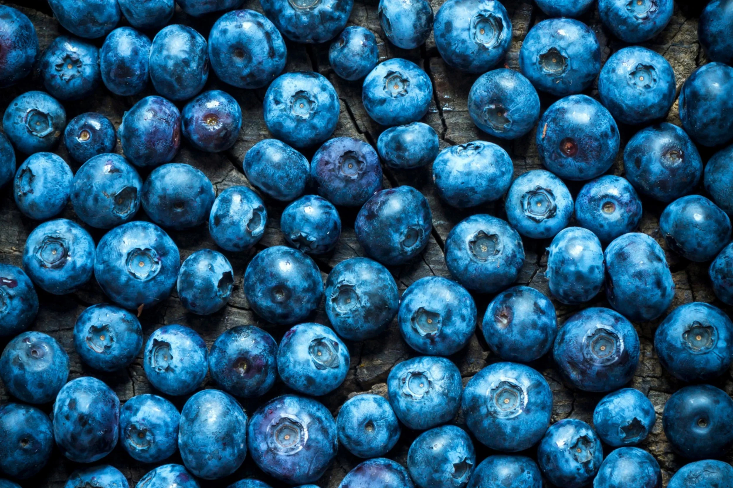 Blueberries