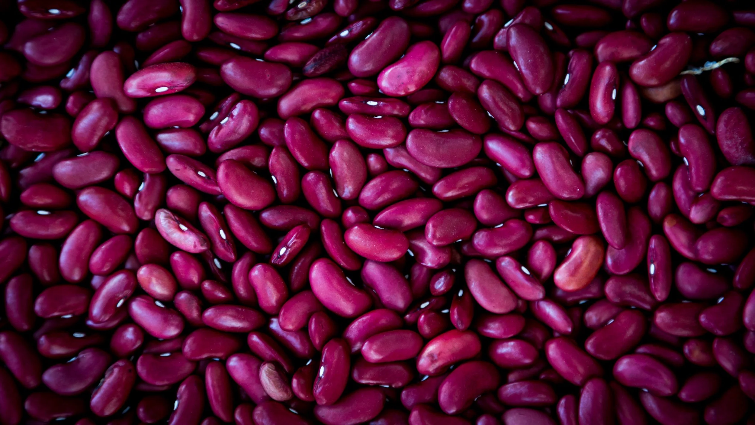 Red Kidney Beans, Dried