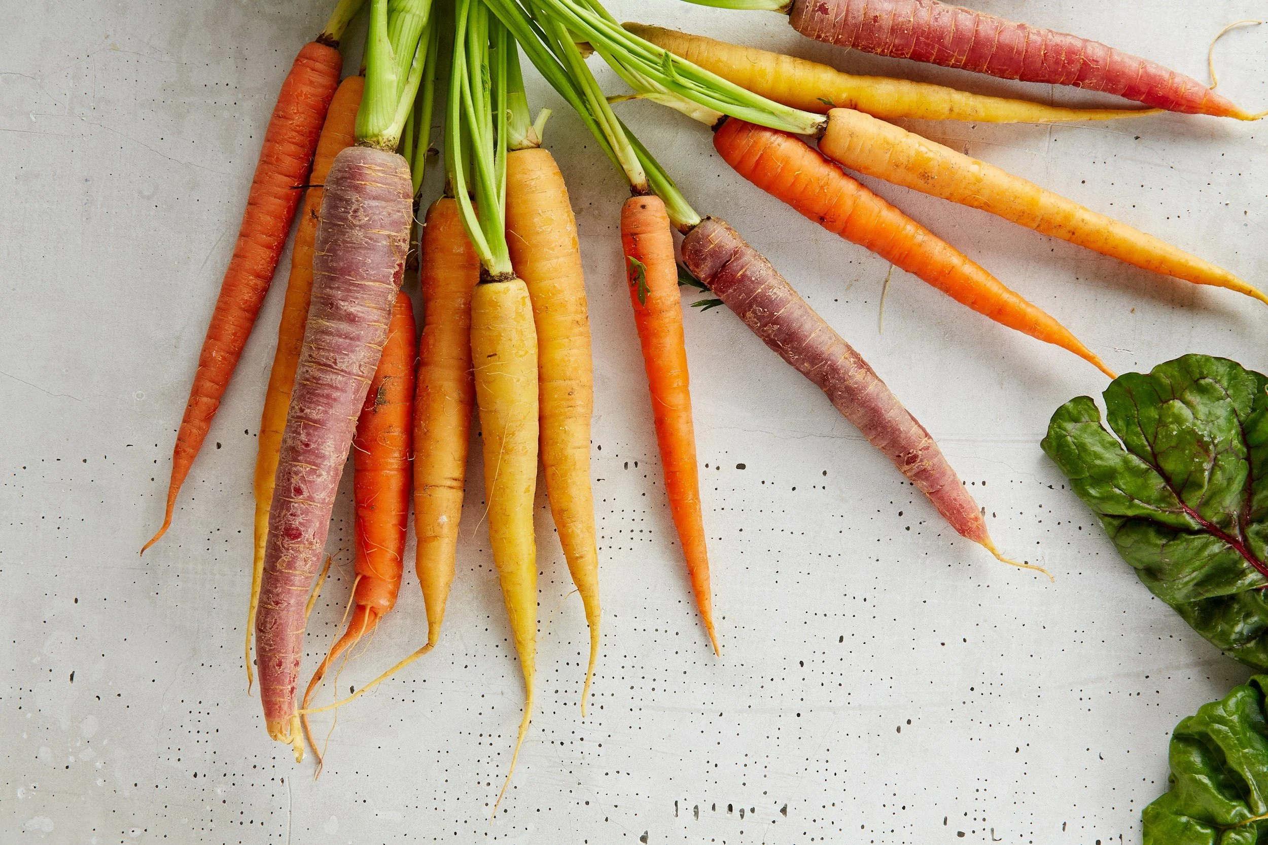 Carrots, old, raw