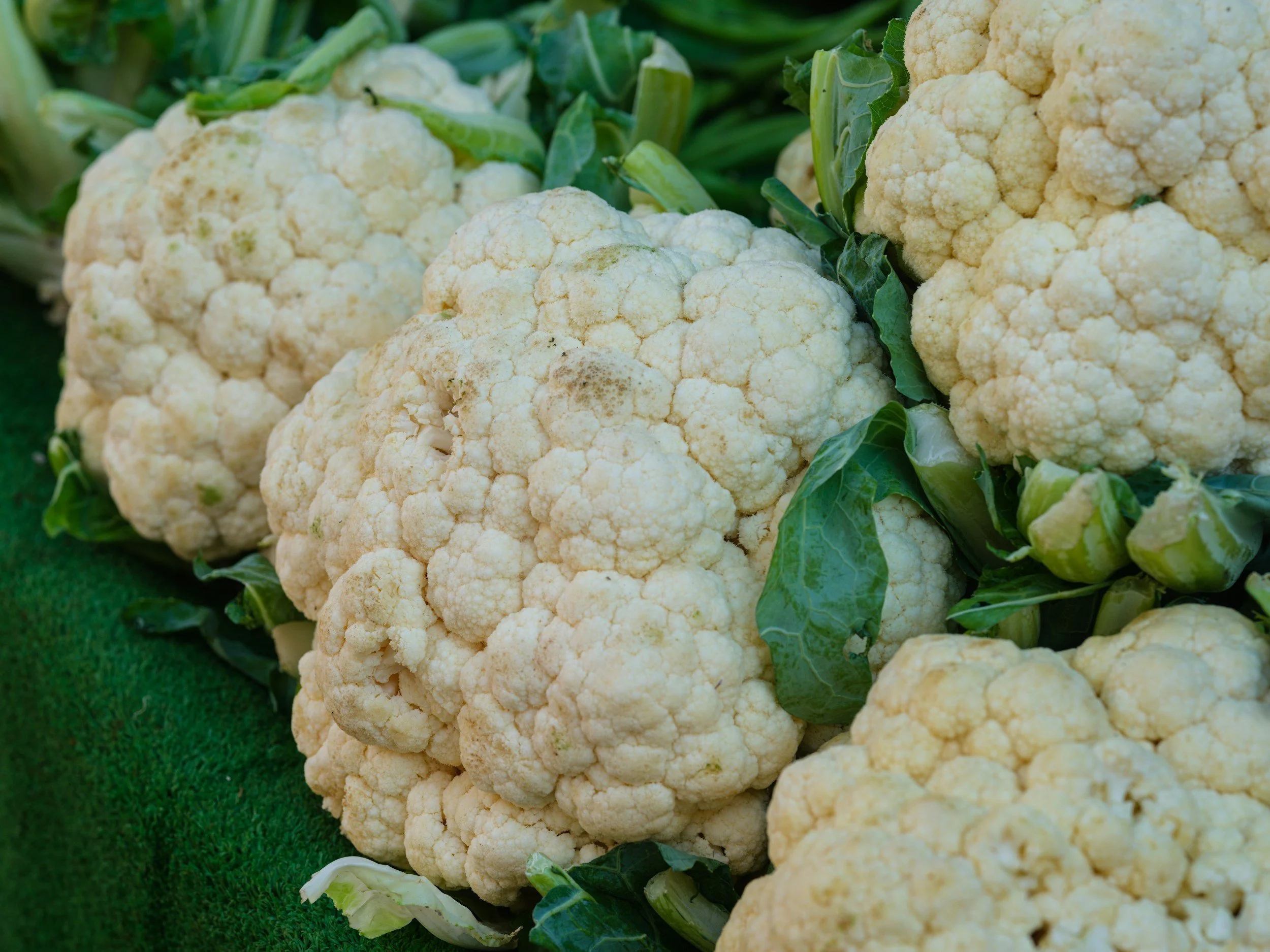 Cauliflower, raw