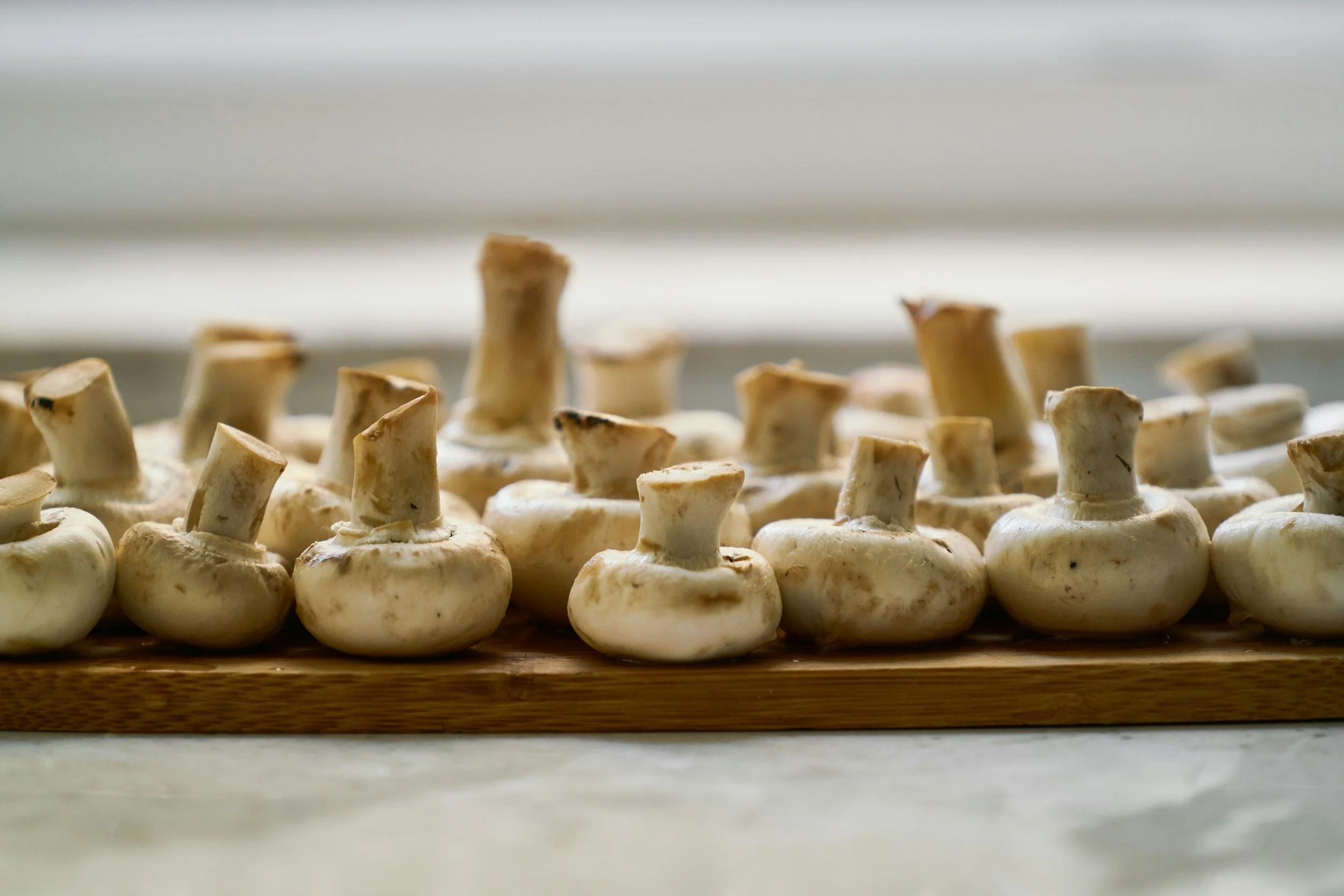 Mushrooms, white raw