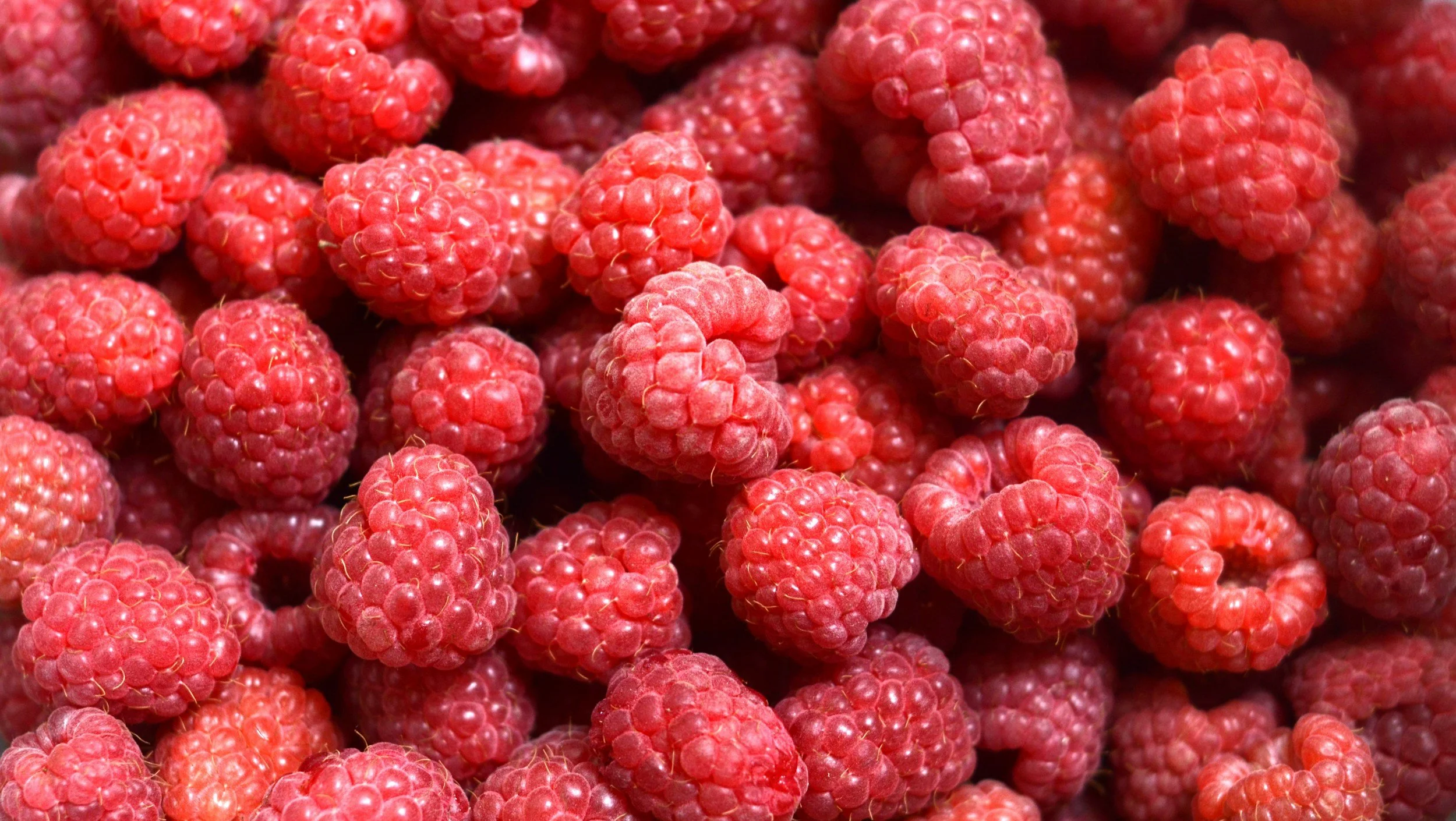 Raspberries, raw