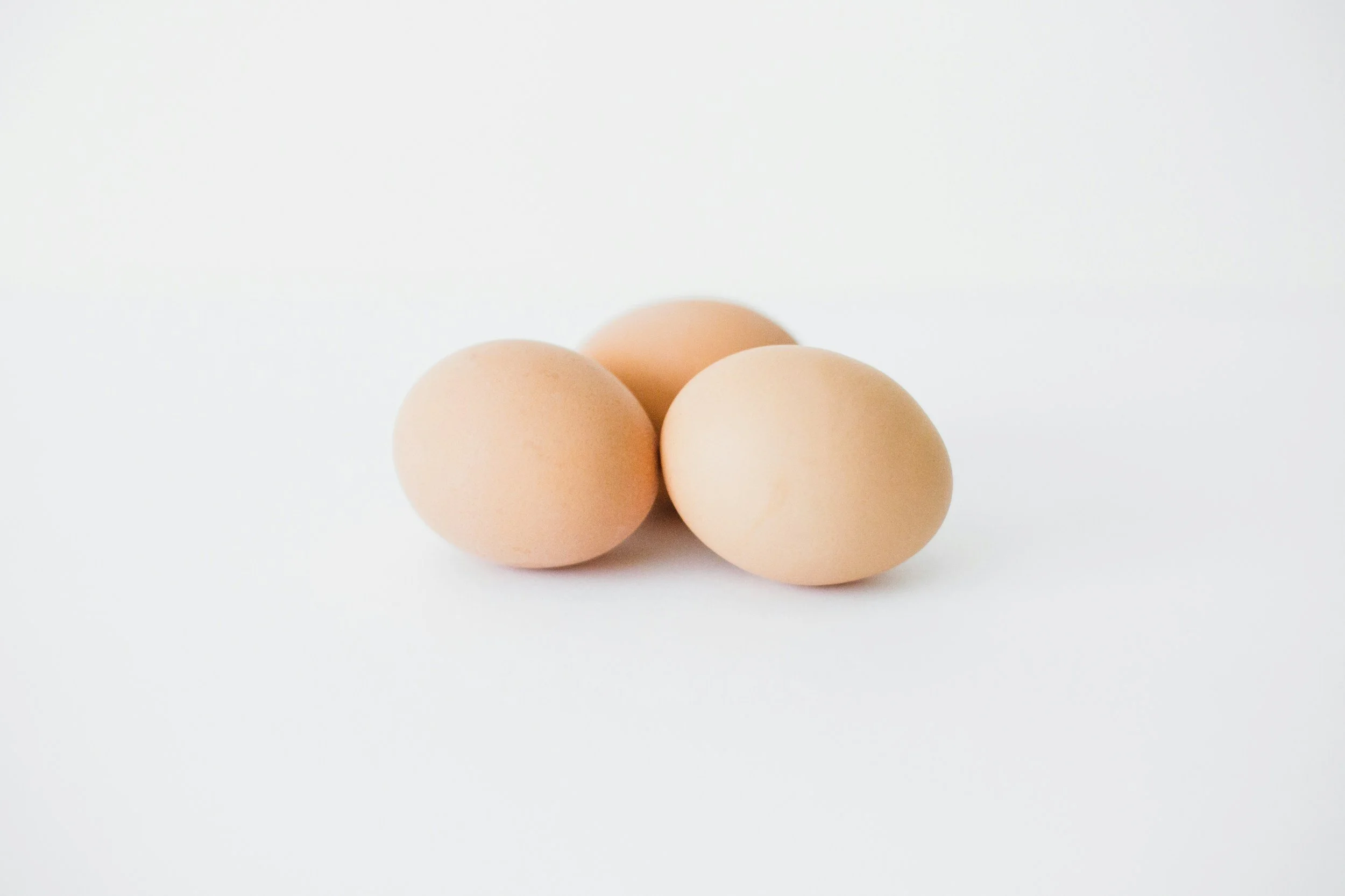 Animal &amp; Eggs