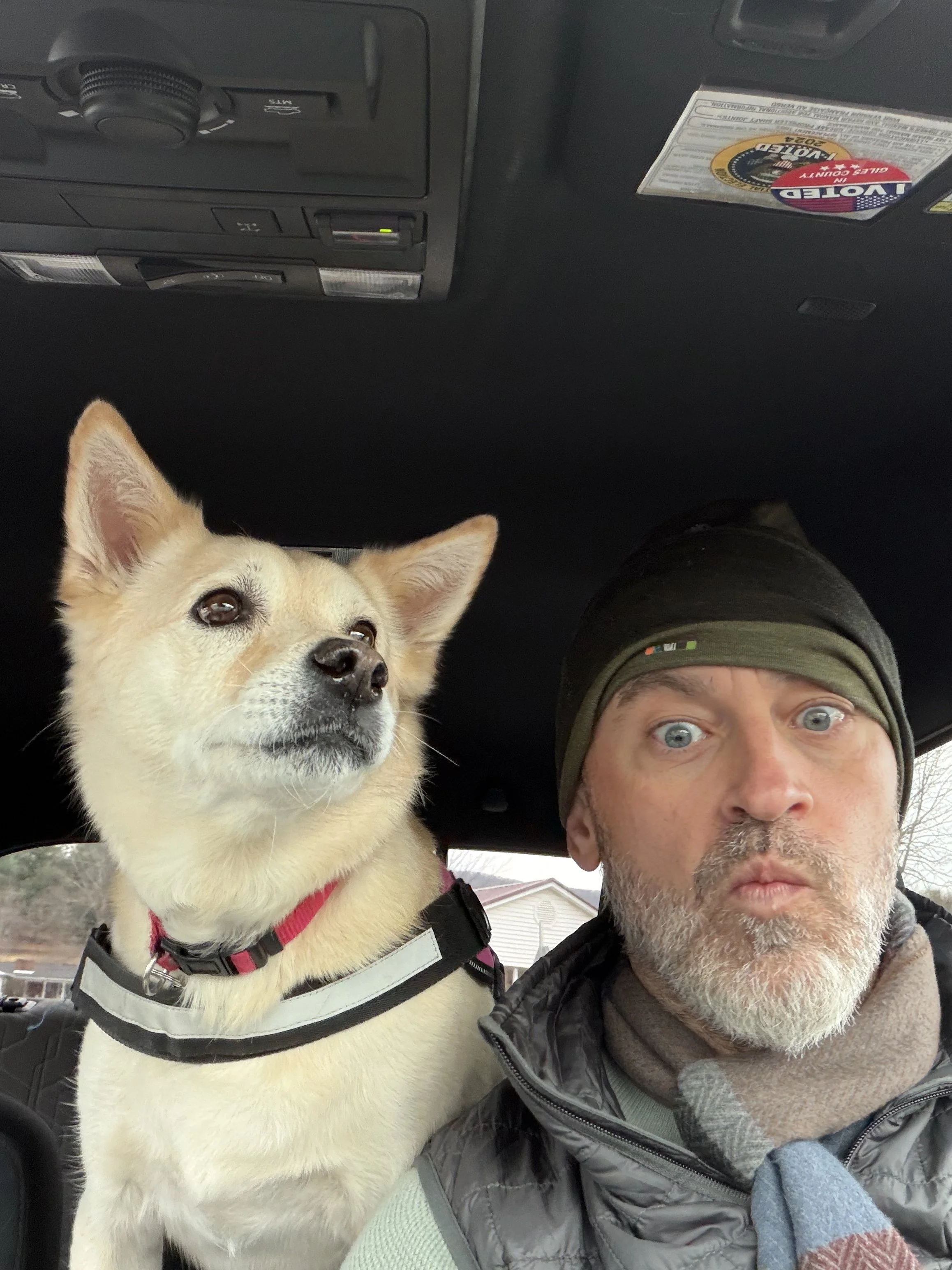 A man and a dog inside a car, with the dog sitting on the left and the man on the right. The dog is tan with a white chest and wearing a harness. The man has a gray beard, blue eyes, and is wearing a beanie, jacket, and scarf.