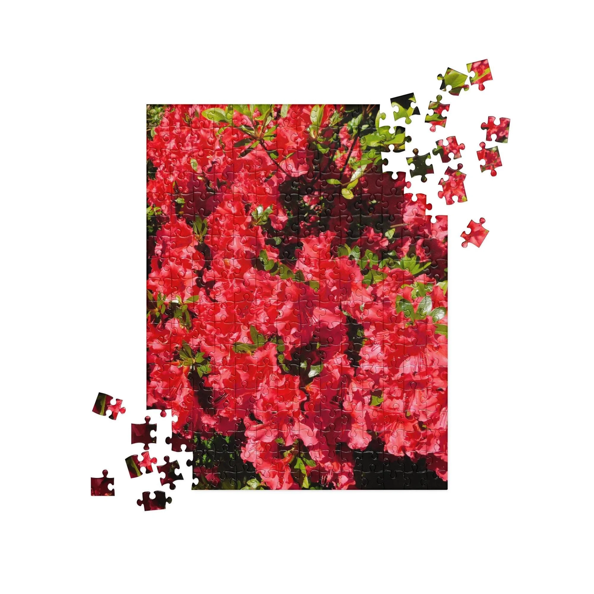 https://i.etsystatic.com/36768662/r/il/e7dbd2/6951036946/il_fullxfull.6951036946_f1z1.jpg