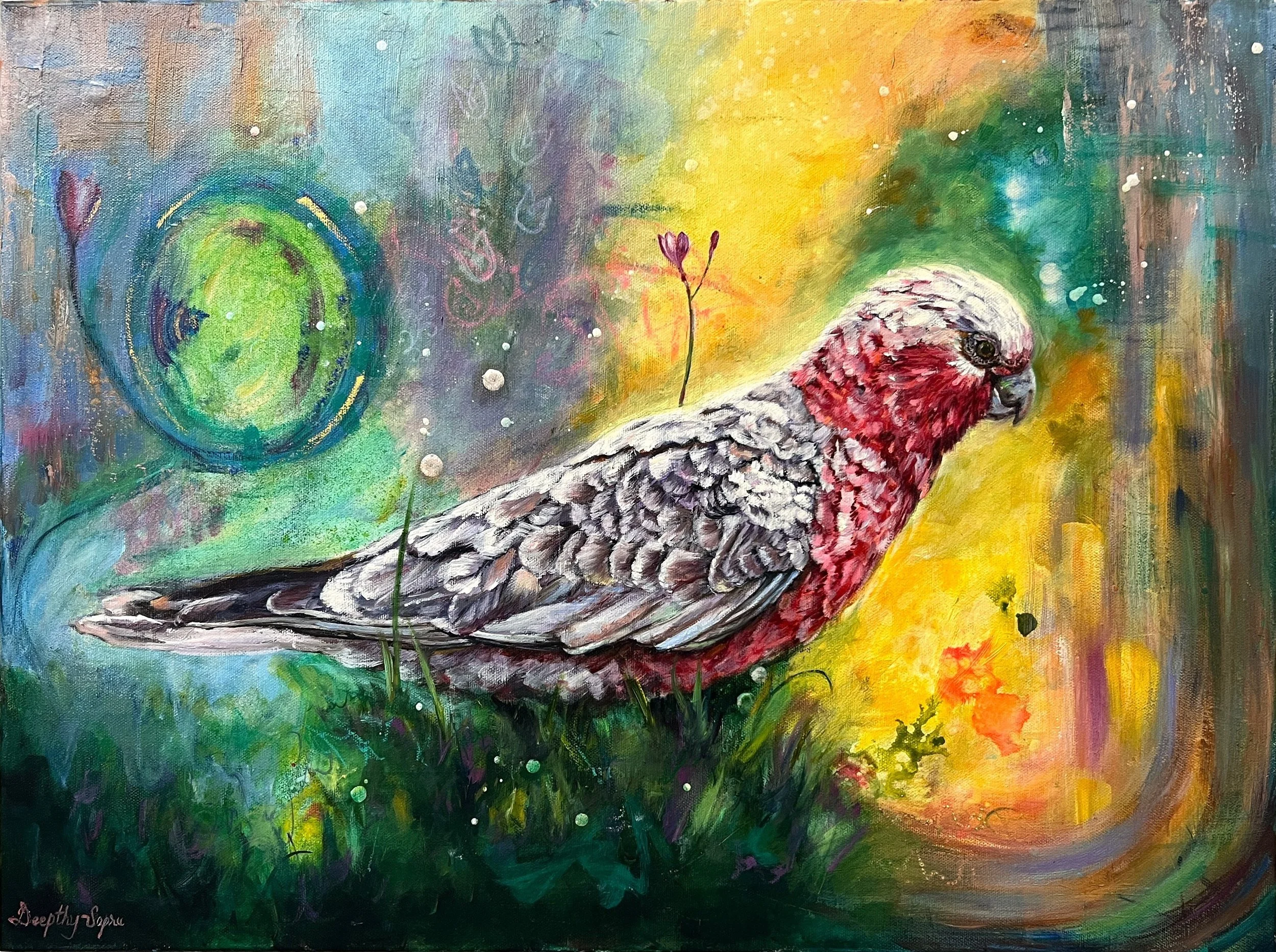 cropped close up galah.jpg