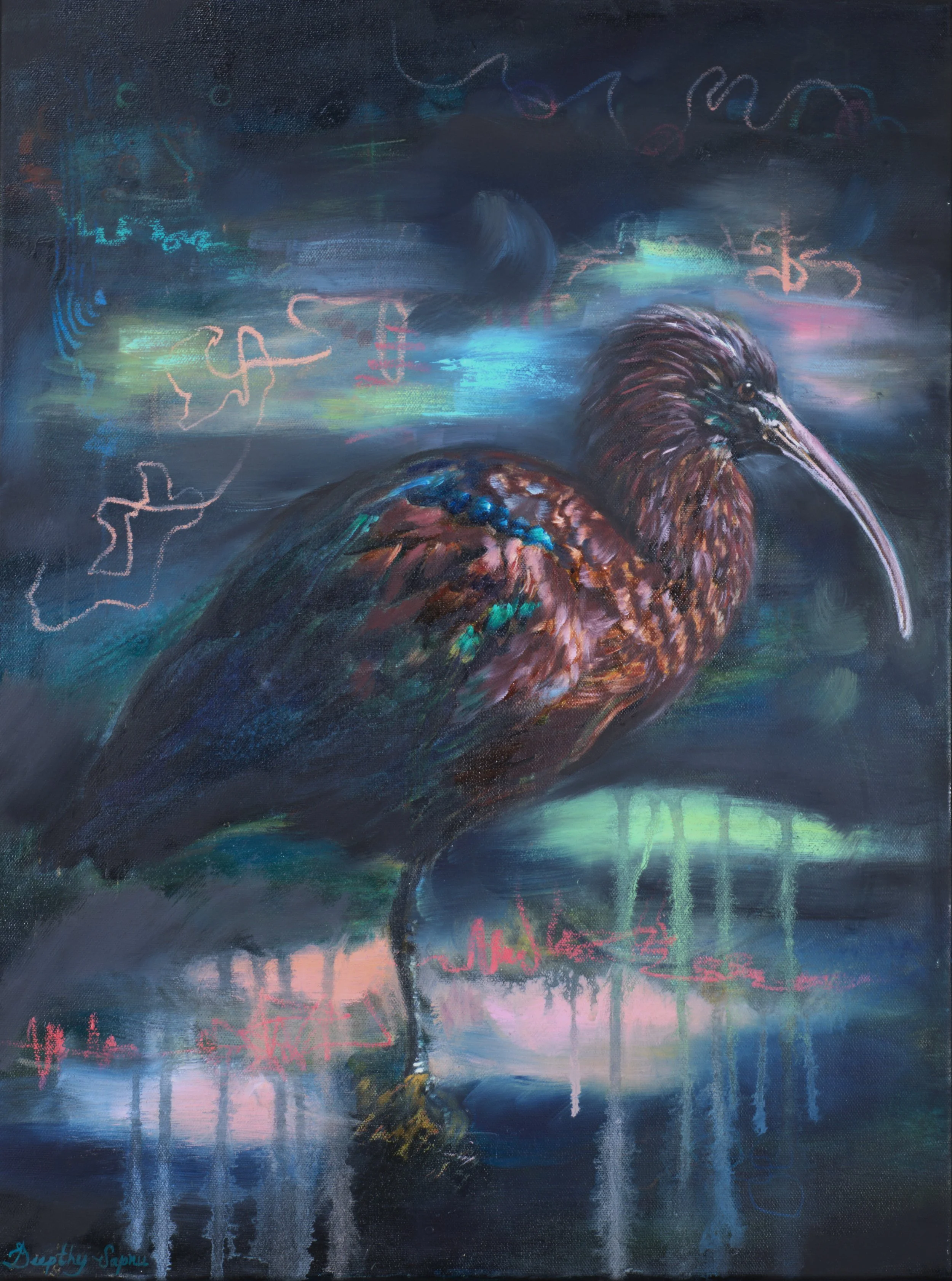 cropped ibis.jpg