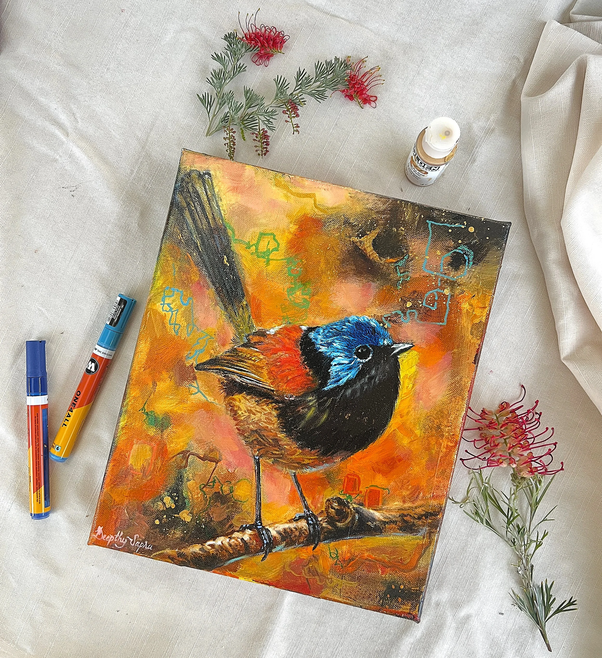 variegated fairy wren edited.jpg