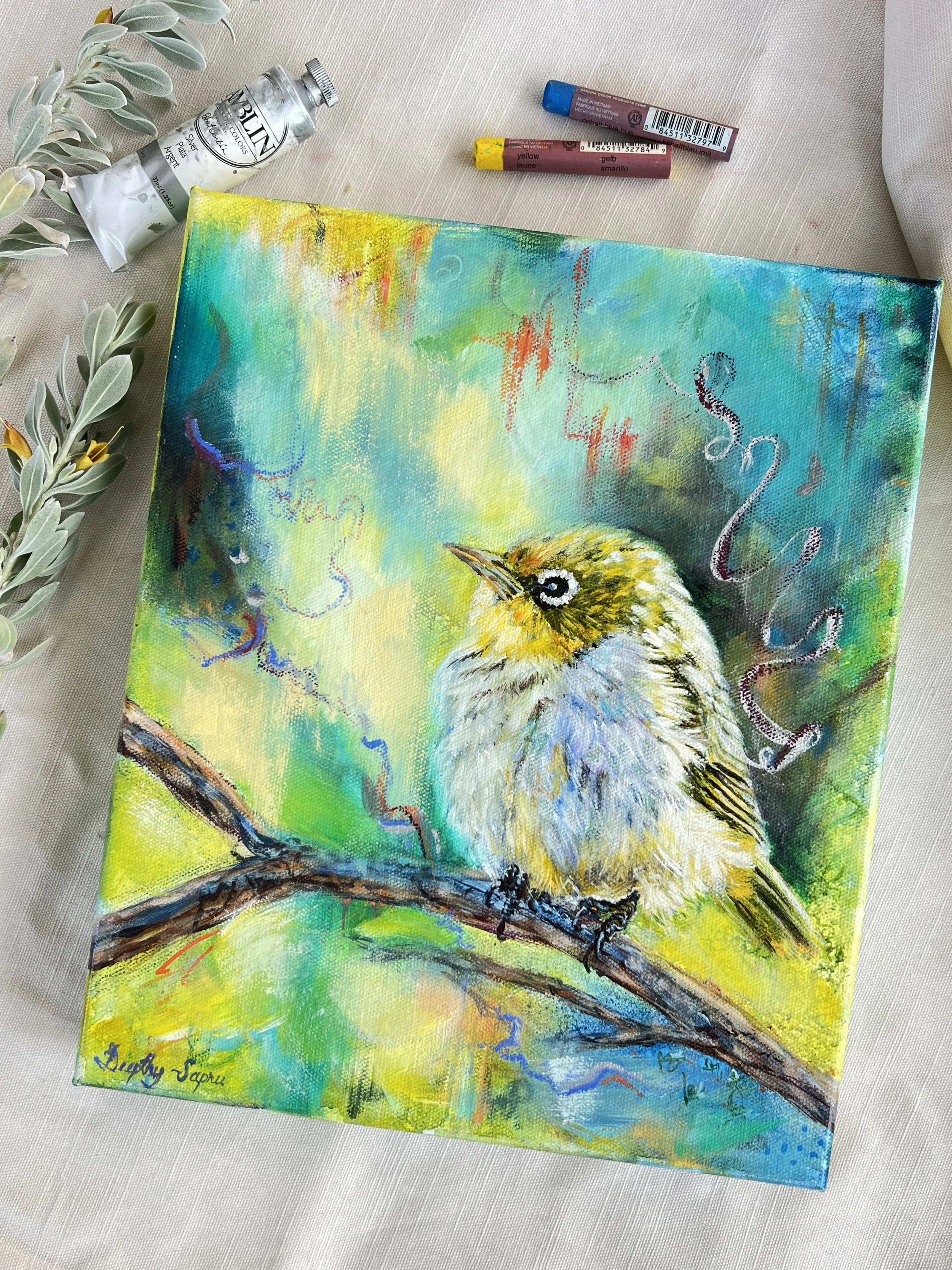silvereye clockwise.jpg