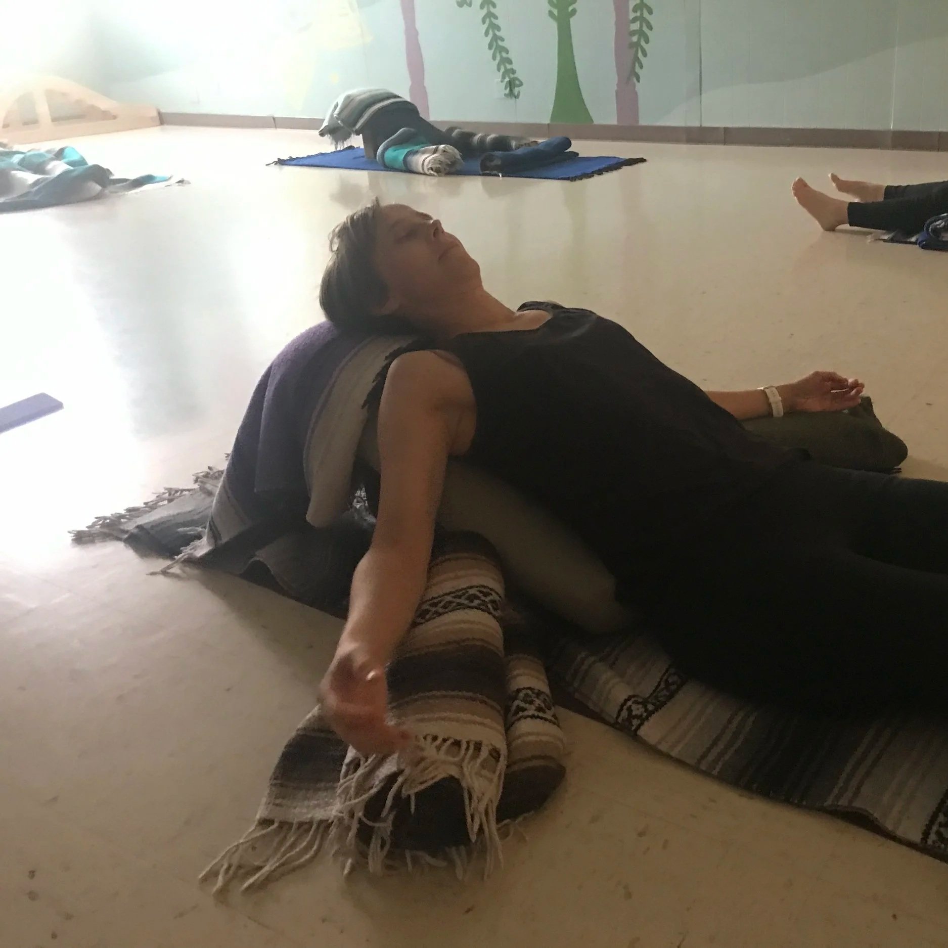 Iyengar Yoga Restorative &amp; Meditation Workshop