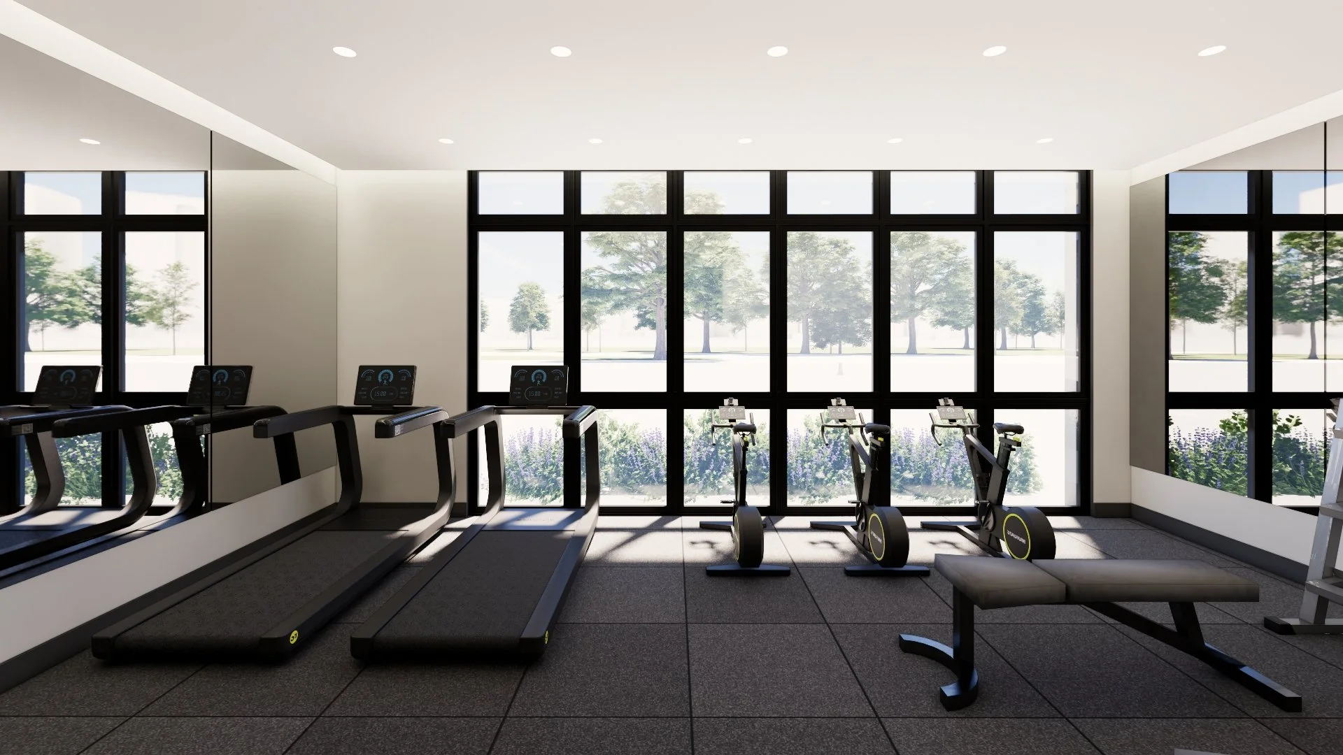 Gym 3.jpg