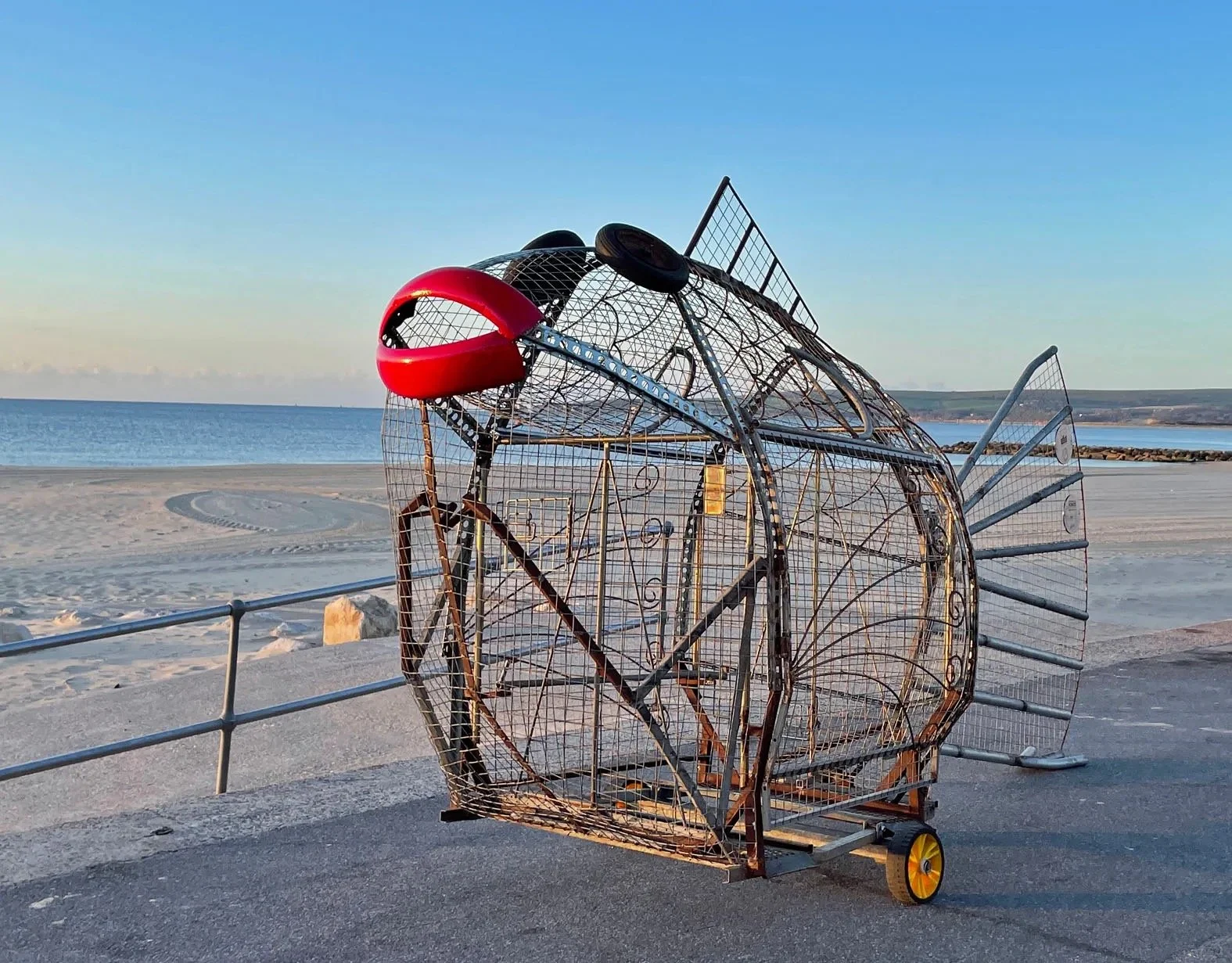 Image.jpeg
