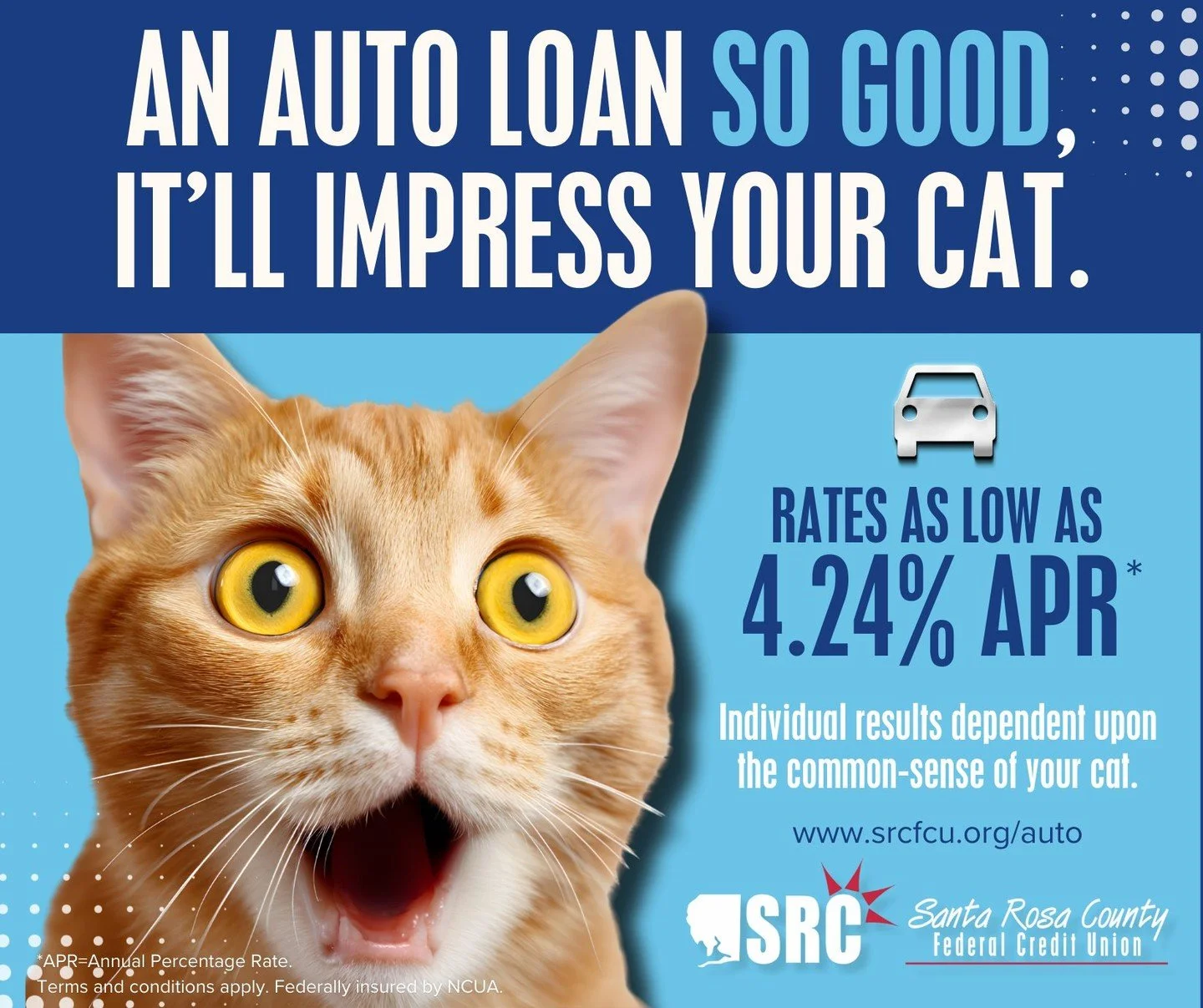 We&rsquo;re not saying your cat has high standards&hellip; but they will be impressed. 😼🚗

With auto loan rates as low as 4.24% APR*, upgrading your ride just got a whole lot easier.

Apply today at http://www.srcfcu.org/auto.

*APR=Annual Percenta