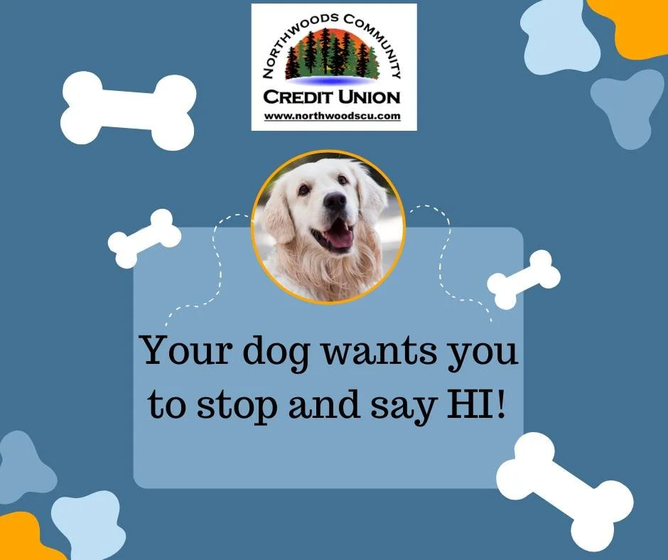 Your dog wants to say hi and get a dog treat!  Our drive-up staff is ready with their smiling faces! :)
