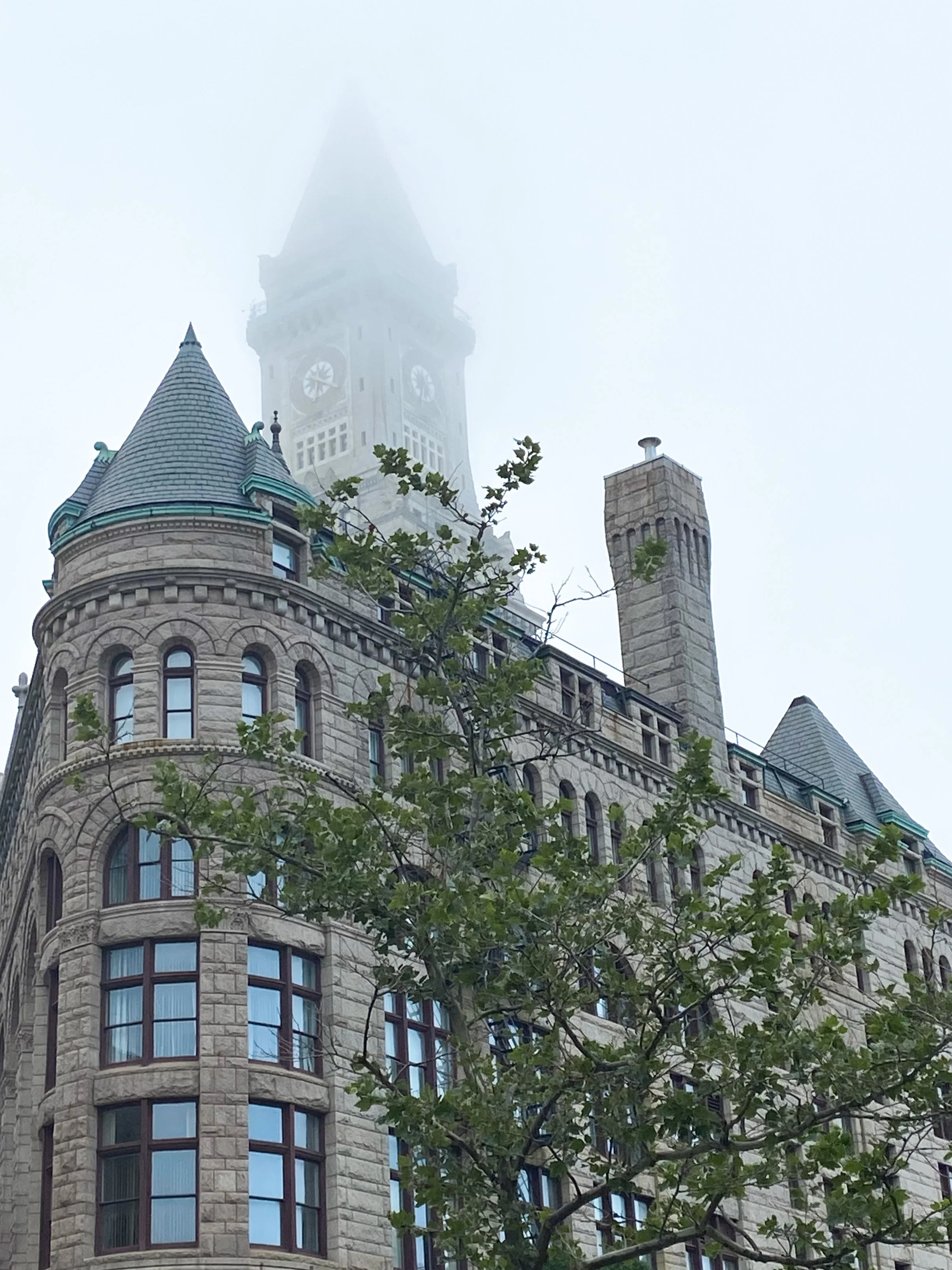 Historic stone building with clock tower partially obscured by fog, and tree in foreground.