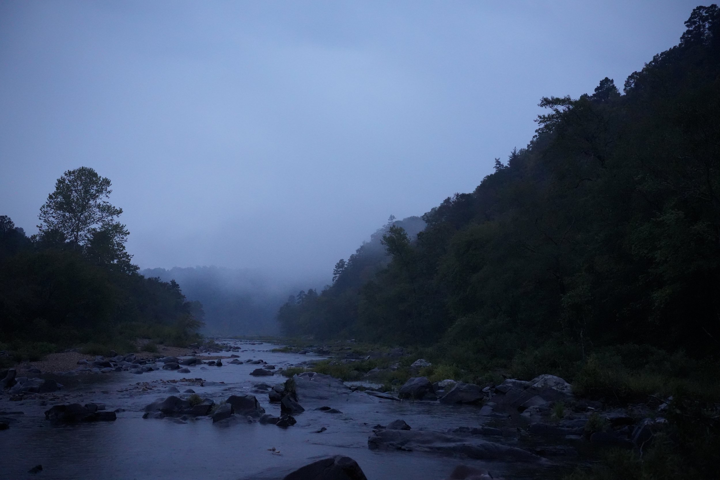 Nature landscape photo of early morning fog over a river valley after a night of heavy rain. Alabama USA