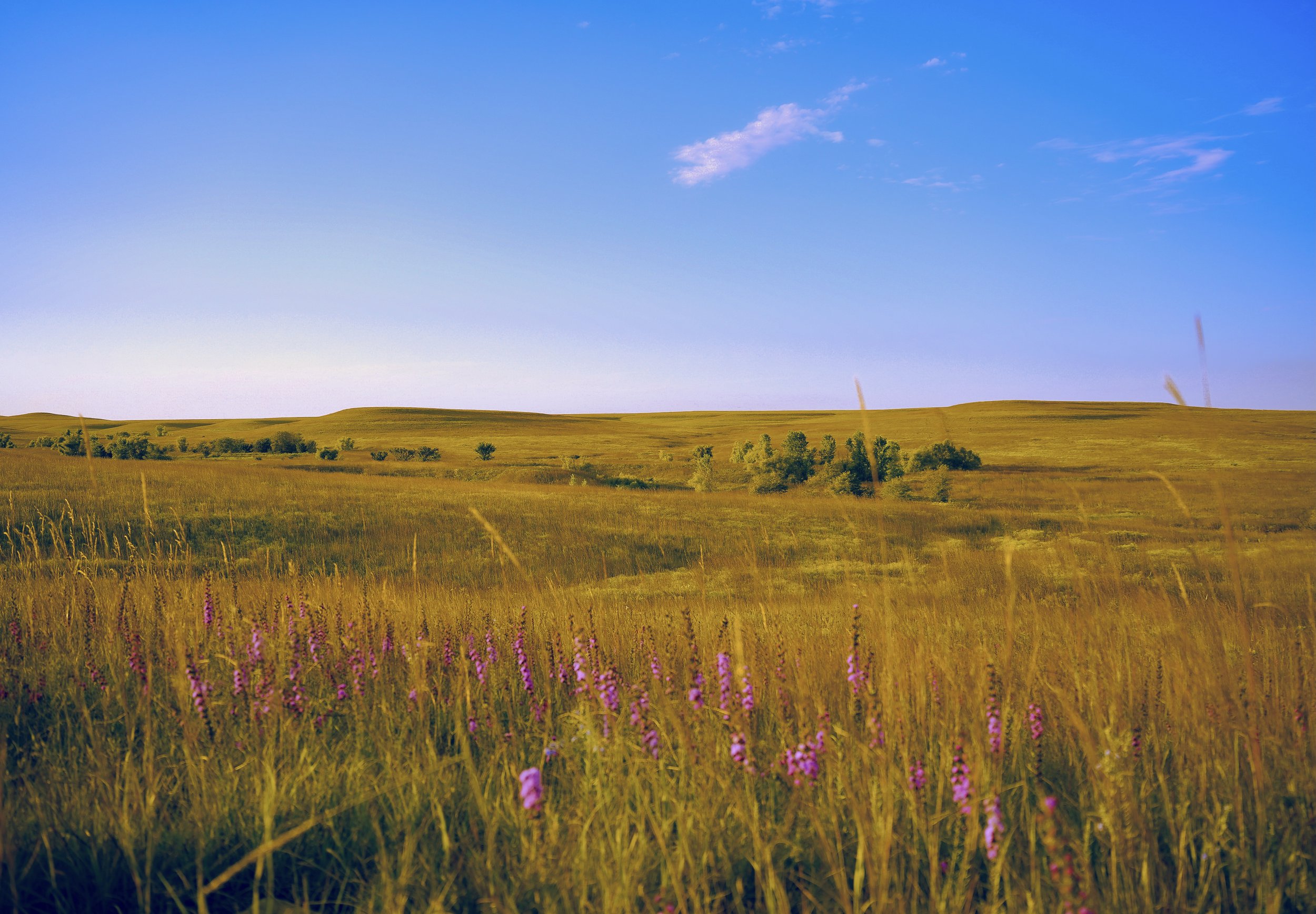 Landscape photo of a midwestern prairie before sunset.