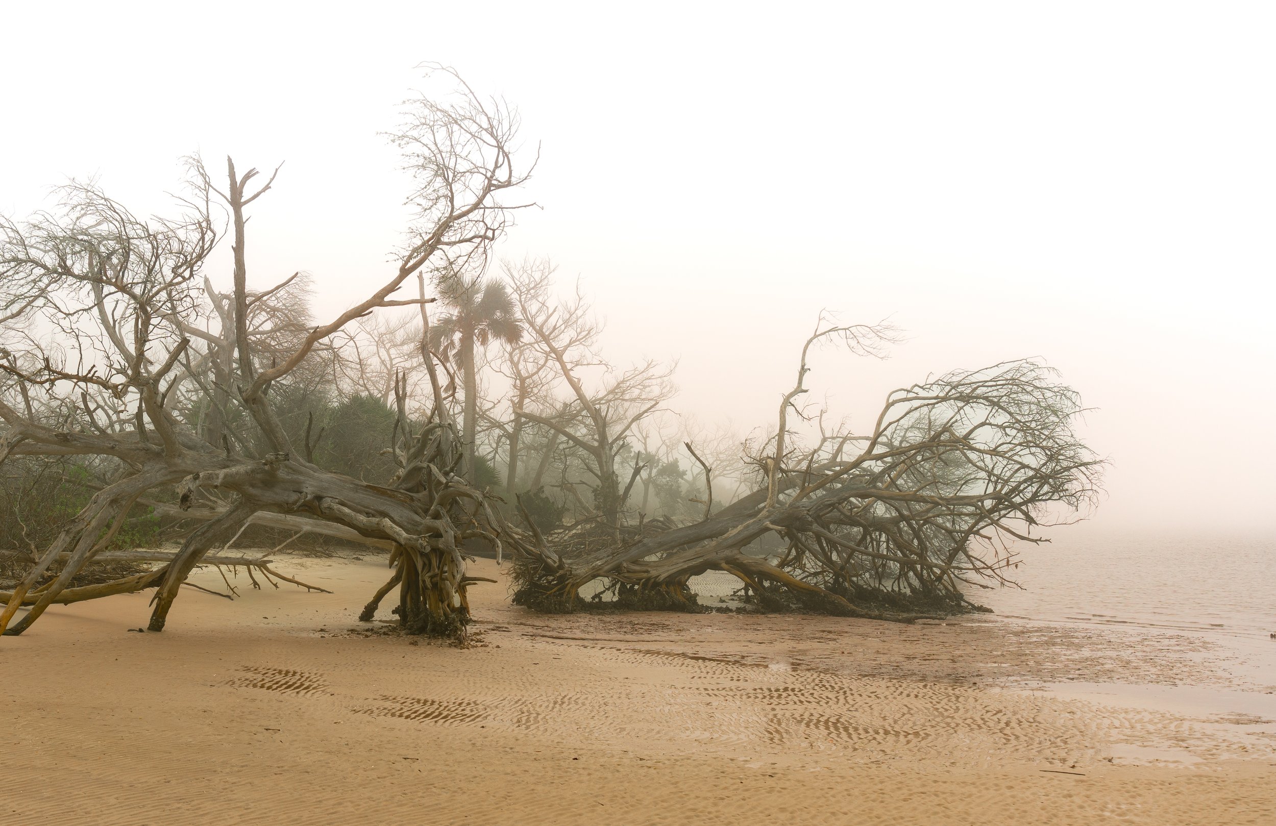 Early morning photo of the Matanzas Inlet captured during a period of heavy fog. North Eastern Florida.