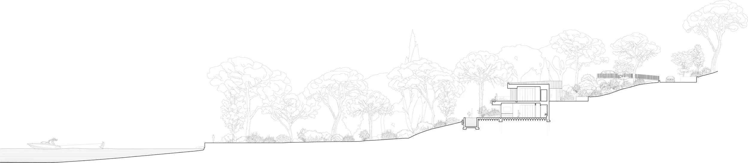Site Section 01_WEB.jpg
