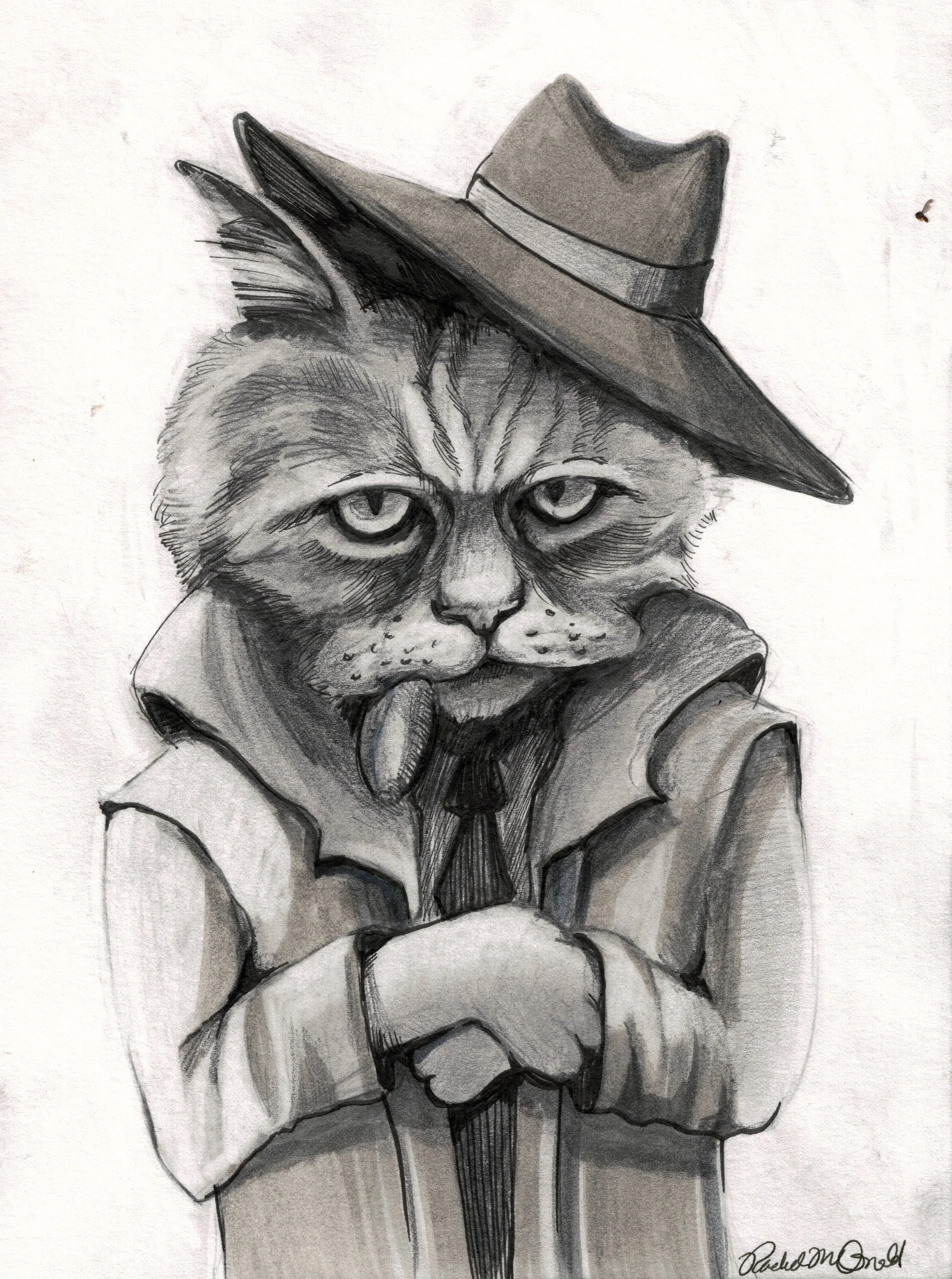 Gangsta KittyE.jpeg
