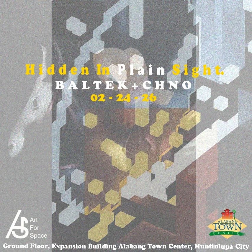 hidden in plain sight a4s poster.jpg