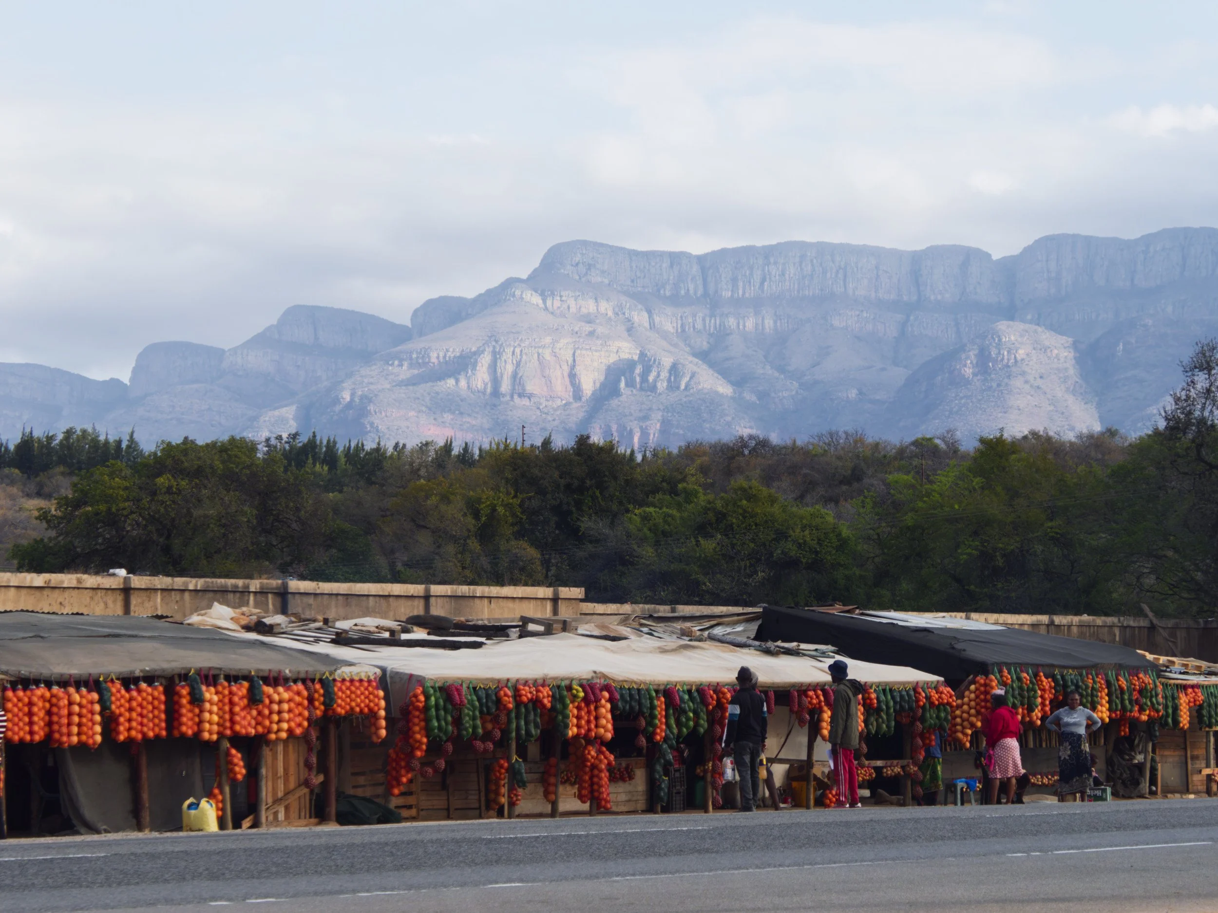 2022 - Blyde River Canyon met naartjies verkopers.jpg