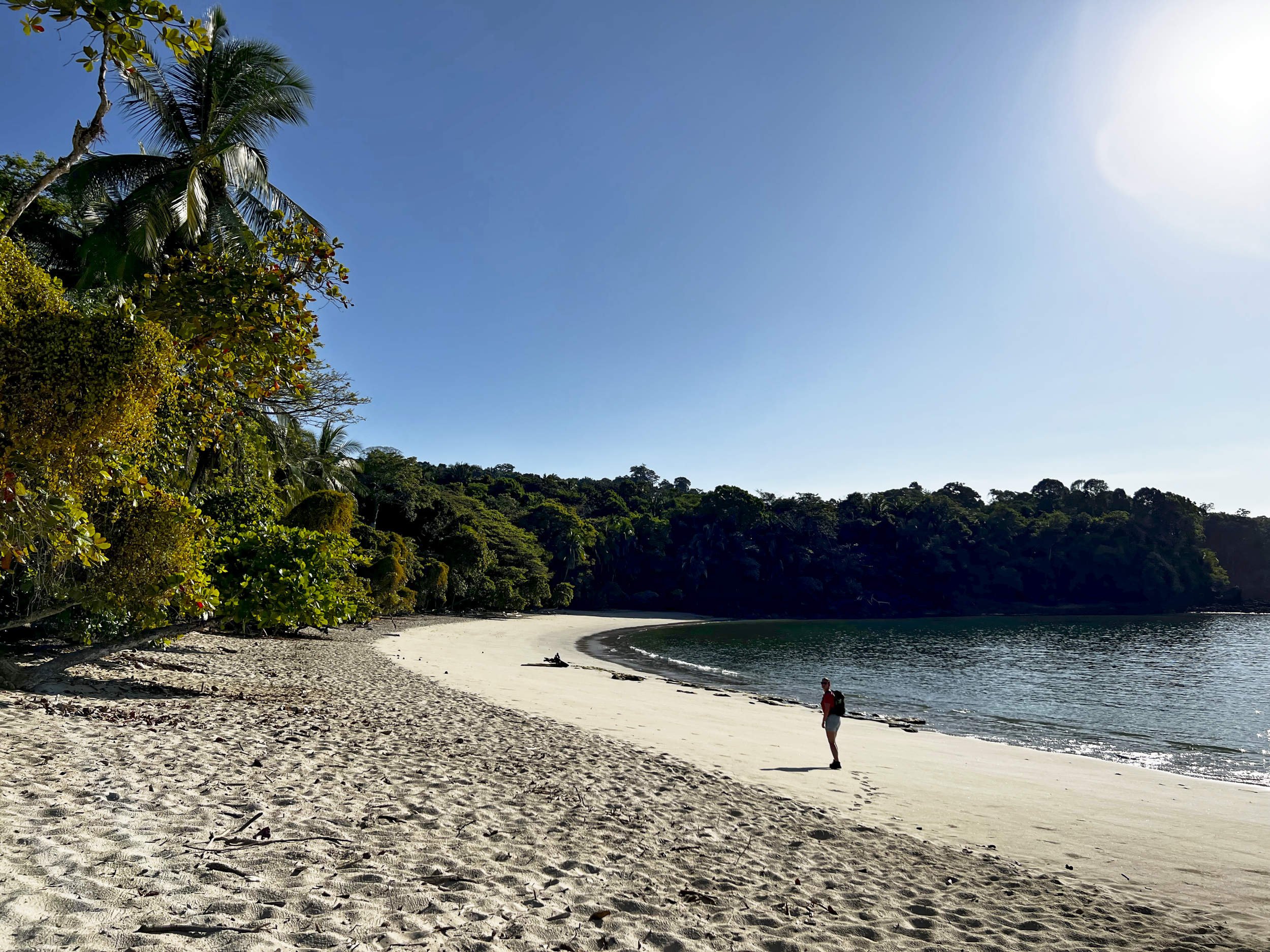 2022 - Wilke wandelt op strand Manual Antonio NP.jpg