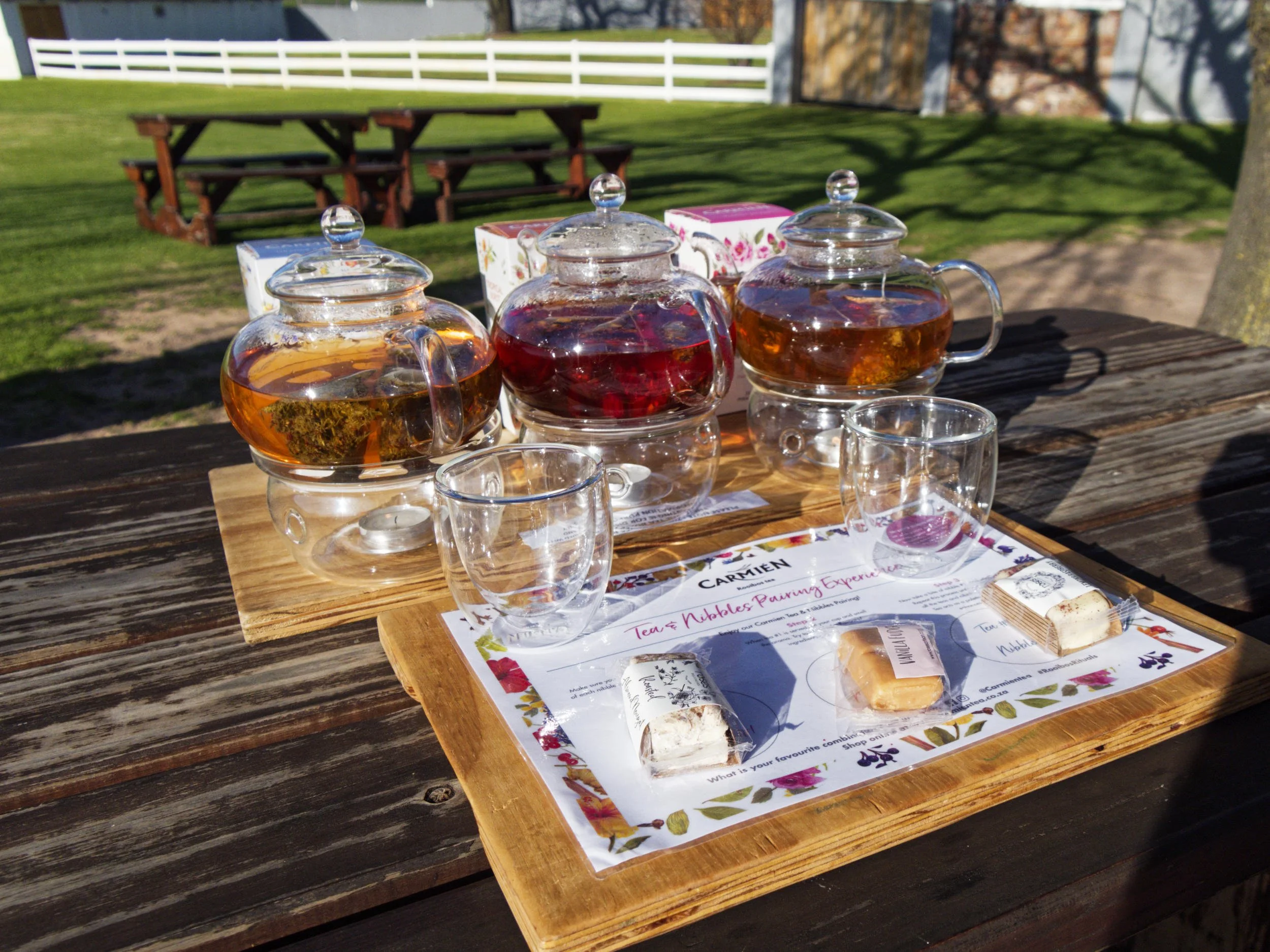 2022 - Rooibosproeverij in Cederberg.jpg