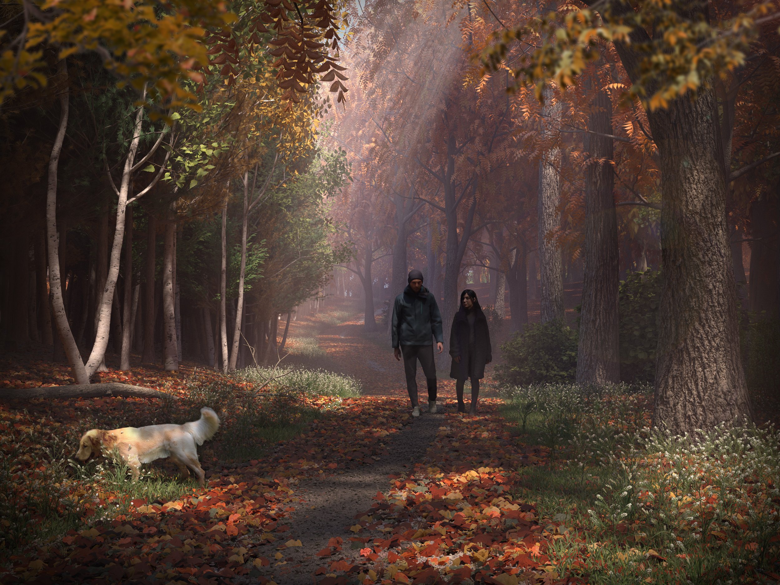 Autumn_Wood_Scene_HR.jpg