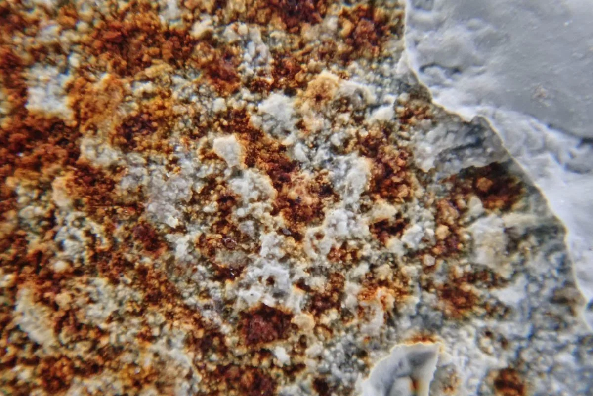 Close-up of a rock surface with reddish-brown and white mineral deposits.