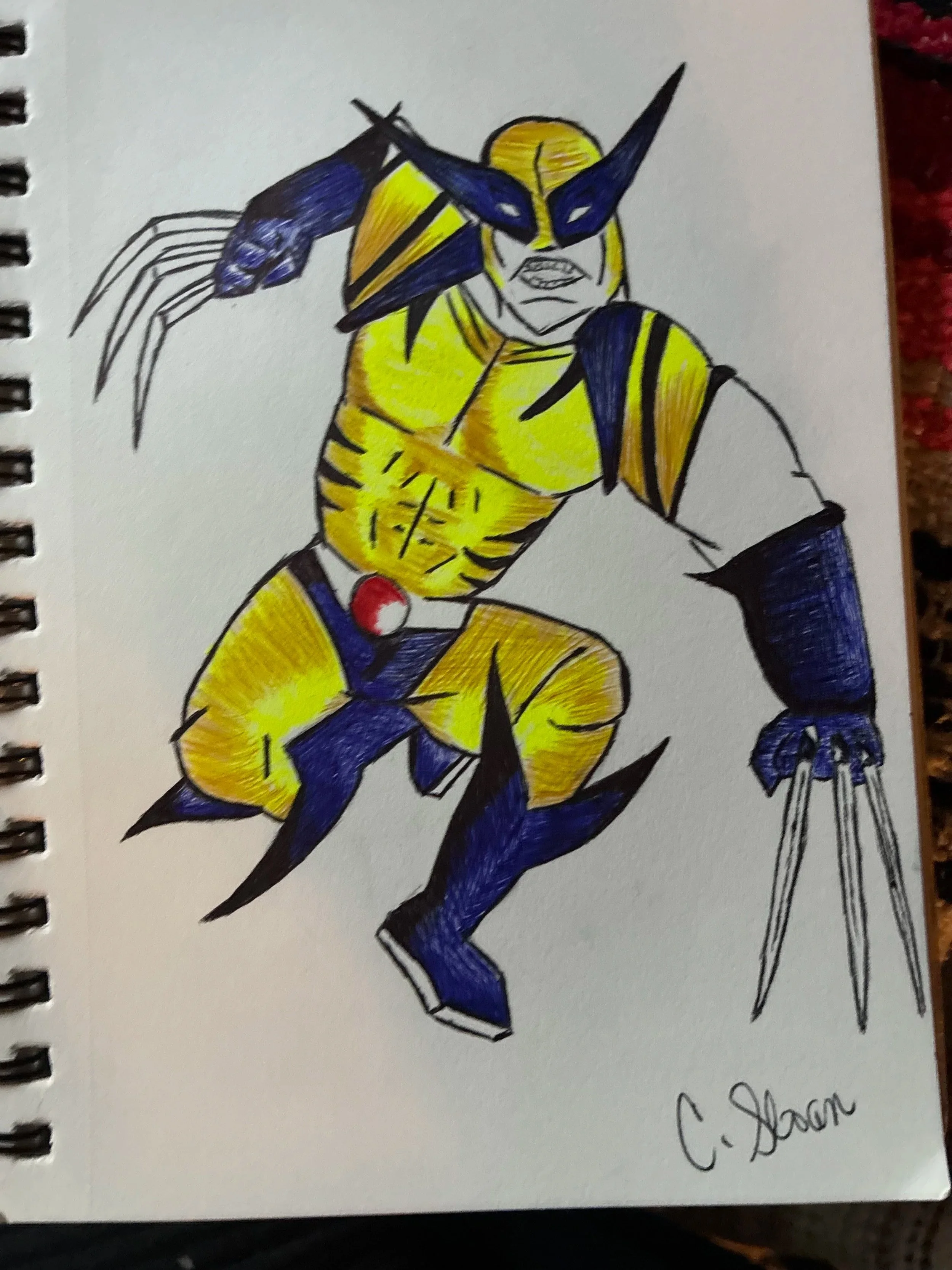 Ball Point Pen Art Work