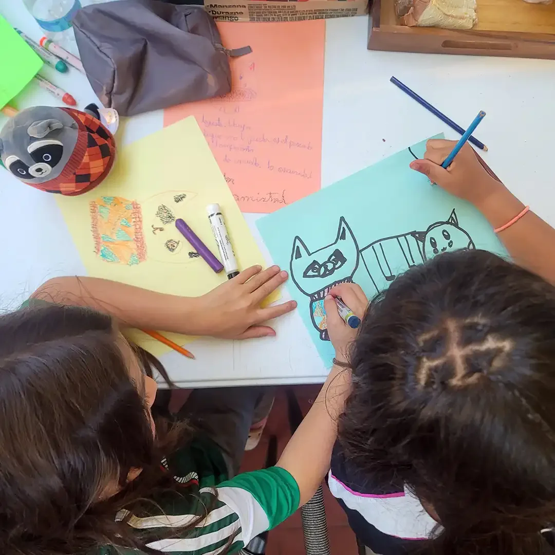 NAUTOPICA_20250207_175720 copy 2.webp