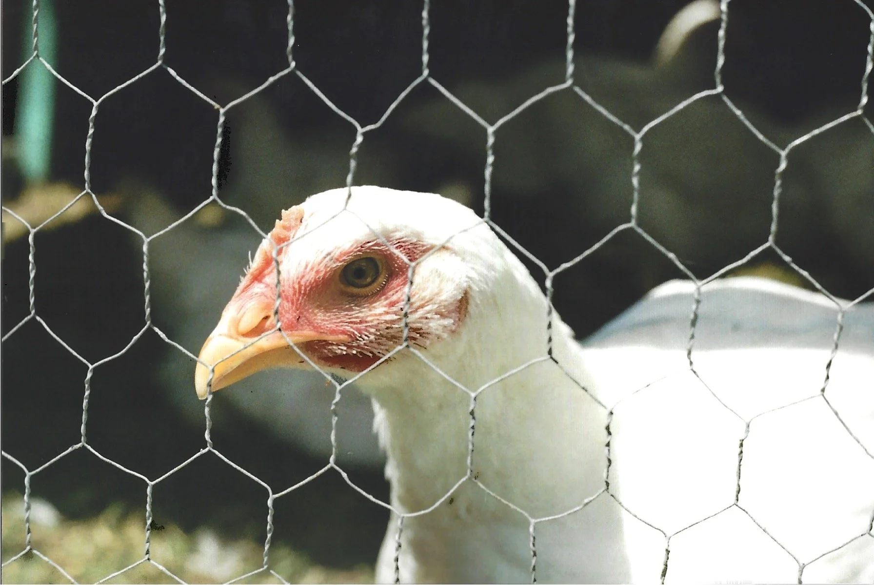 Photo_2021-08-27_152608 (20).jpg