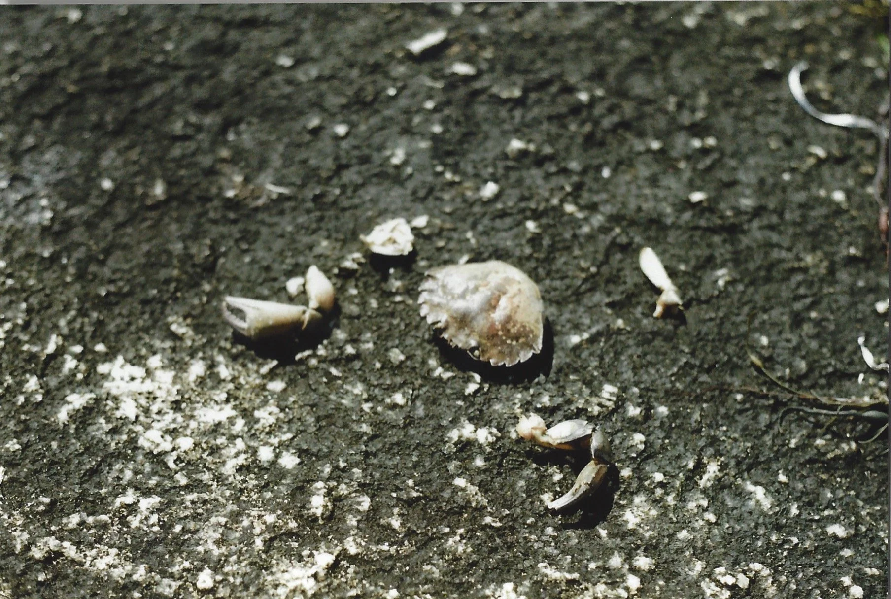 Photo_2022-03-09_202624 (23).jpg